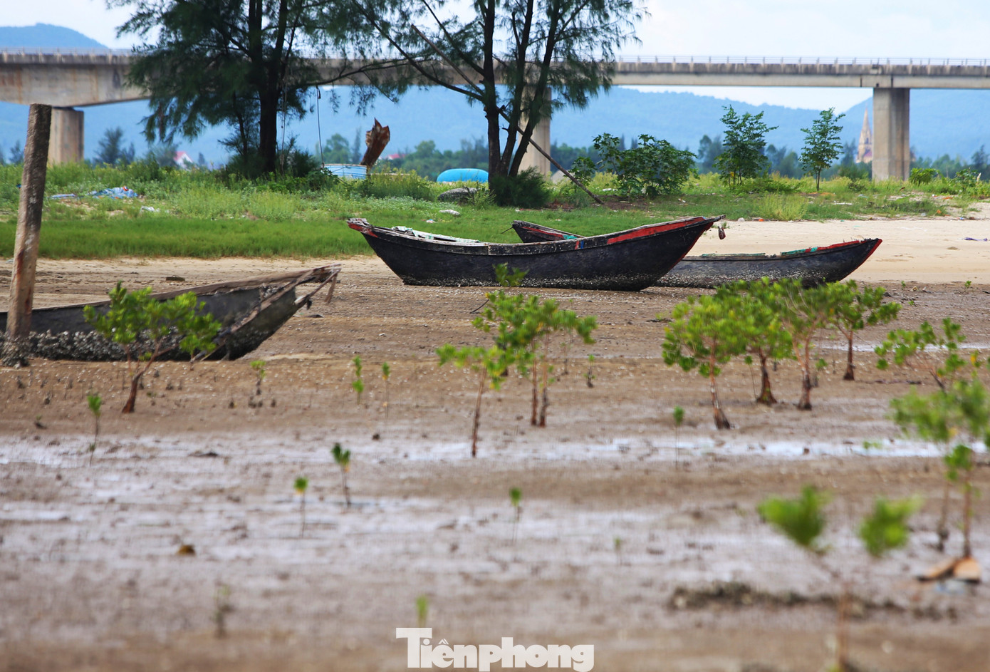 Tại khu neo đậu ở xã Cẩm Nhượng (huyện Cẩm Xuyên), xác tàu cá nằm ngổn ngang thời gian qua.