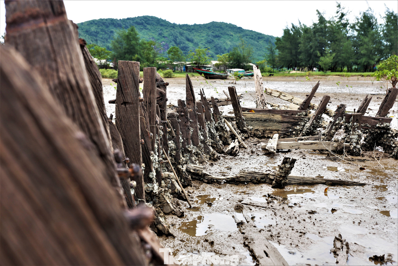 Một số tàu khác chỉ còn lại bộ khung, lộ rõ sắt thép hoen gỉ.