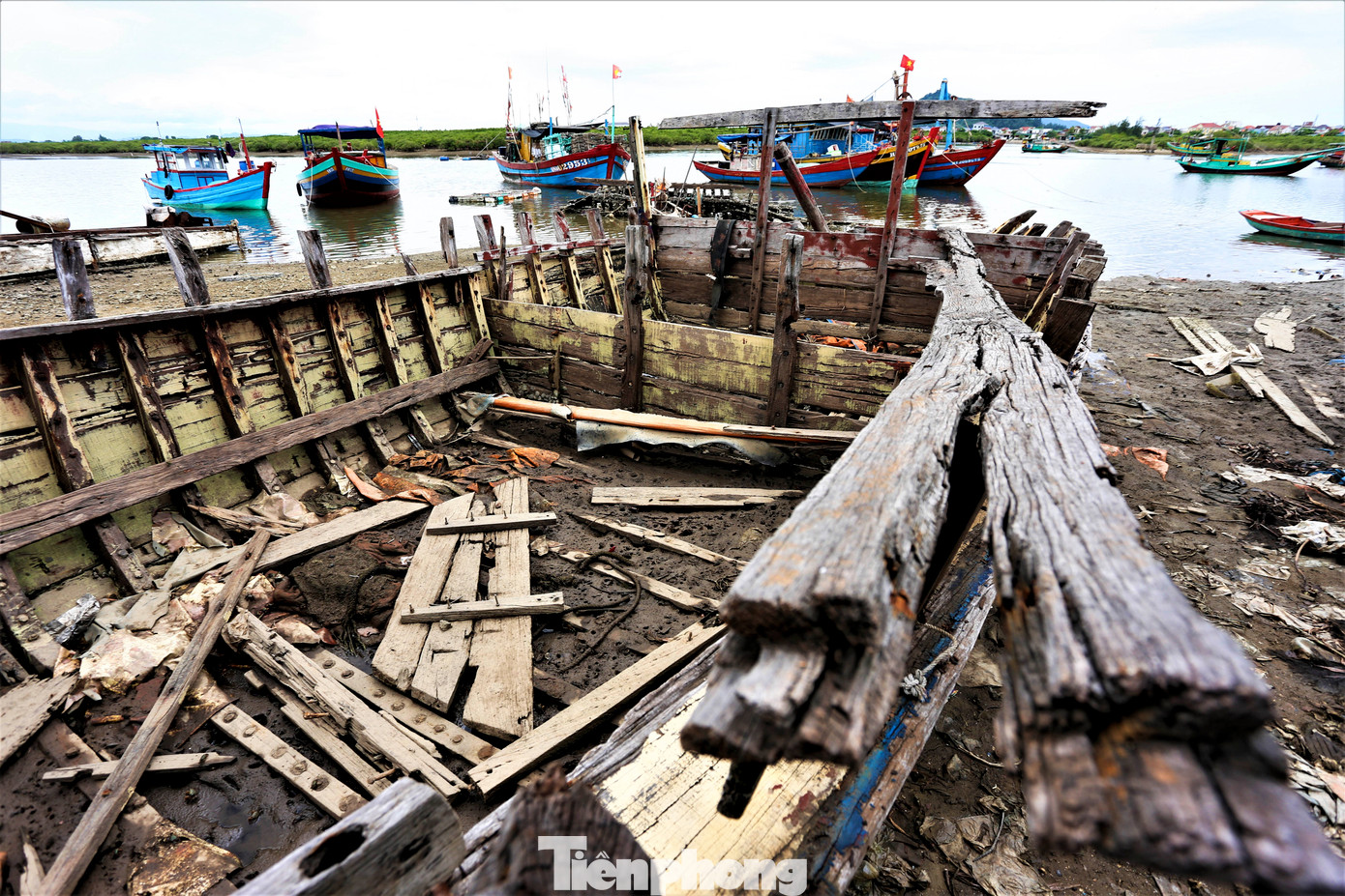 Do các tàu thuyền được đóng từ các loại gỗ như: táu, săng lẻ… nên thời gian phân hủy rất lâu.