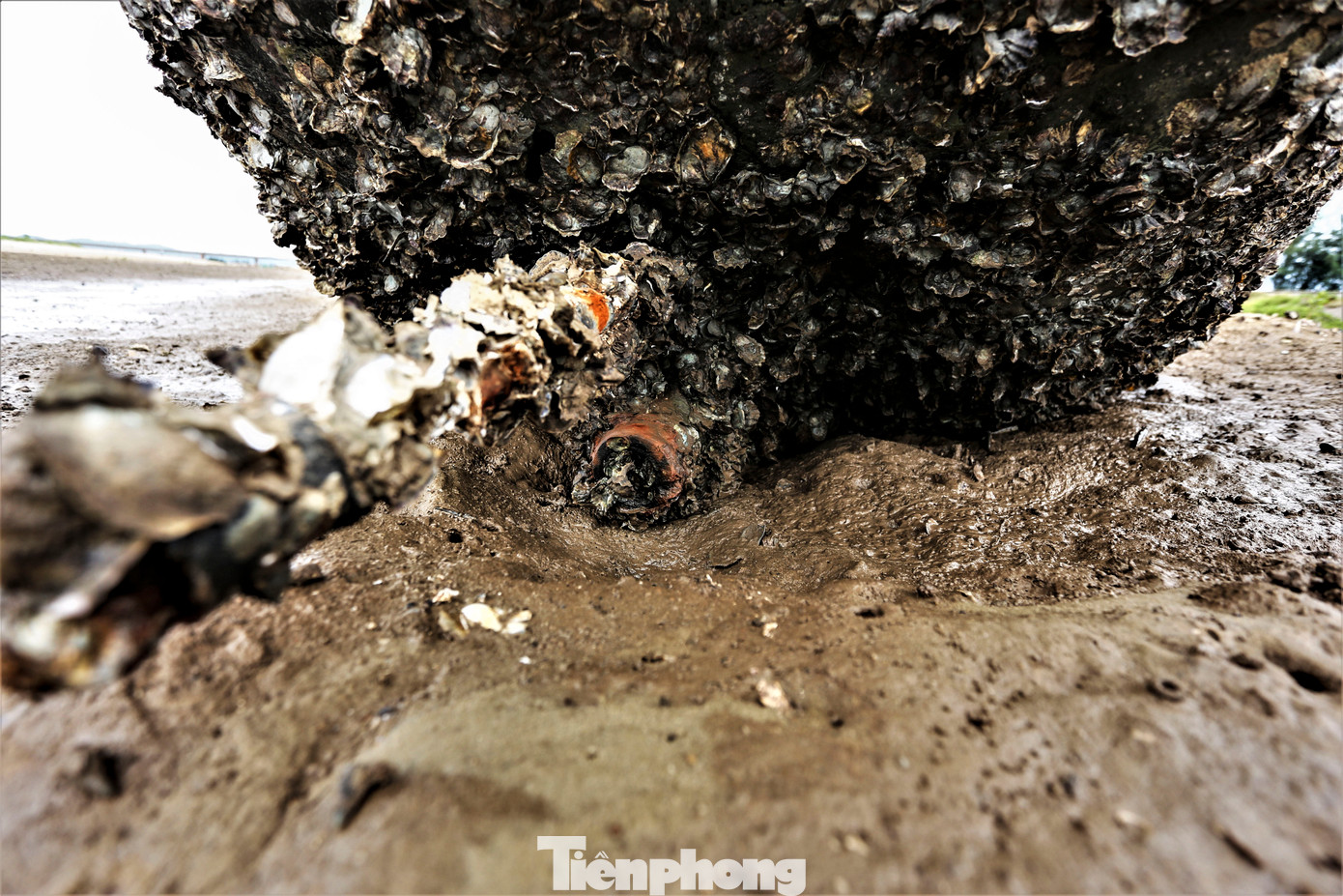 Lượng lớn tàu cá bị bỏ lại, máy móc được ngư dân tháo đi, chỉ còn lại bộ khung. Sau thời gian không sử dụng, các tàu mục nát, chôn vùi dưới lớp bùn, cát, hàu bám chặt.