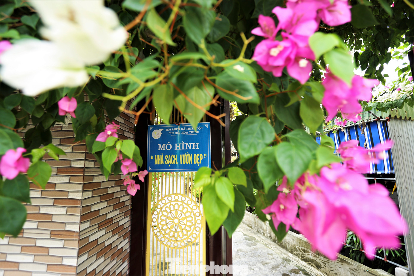 Xã Thiên Lộc đạt nông thôn mới kiểu mẫu vào tháng 6/2022. Nhà các hộ dân nơi đây cũng được chọn là mô hình “Nhà sạch, vườn đẹp”.