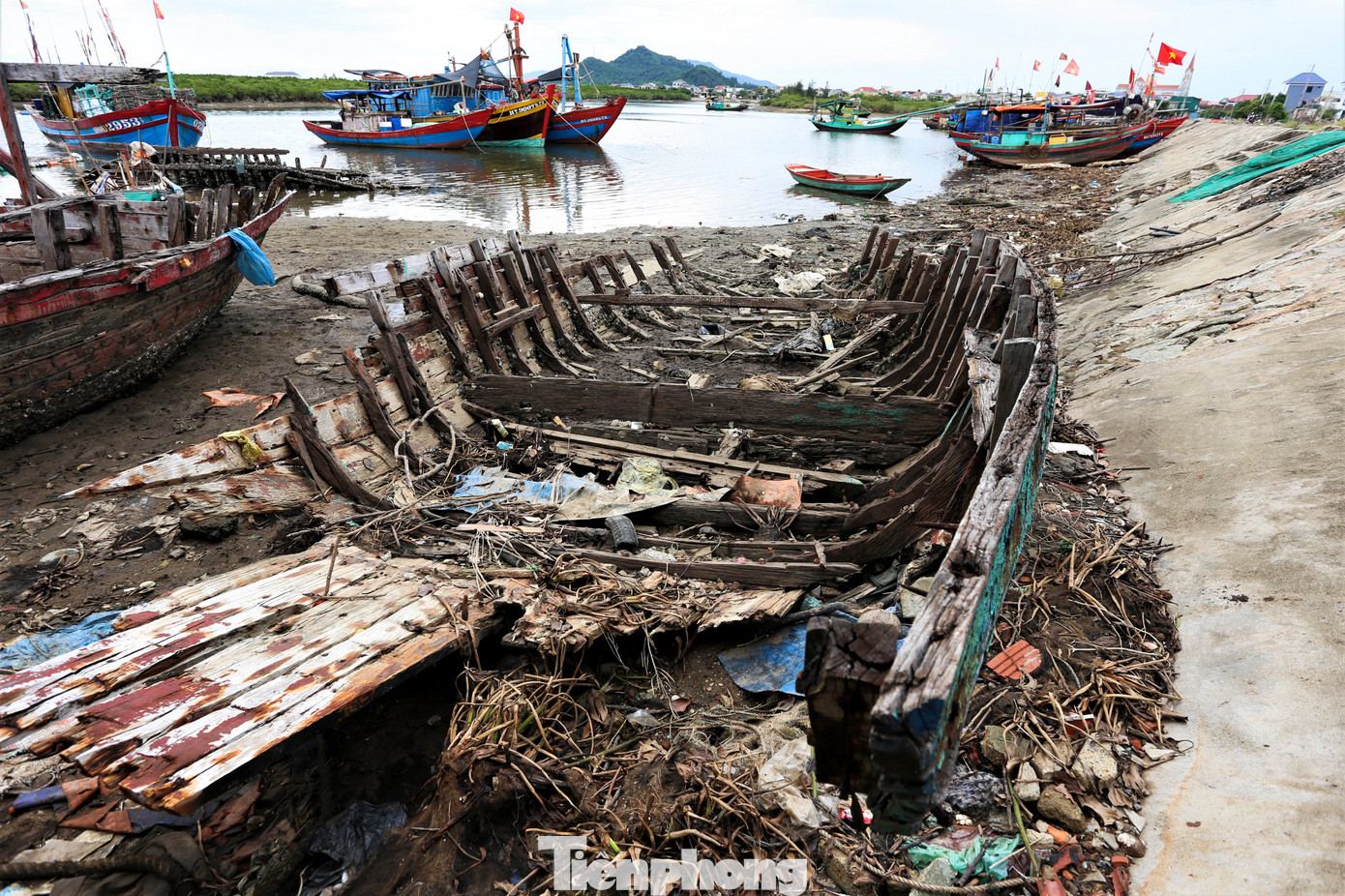 Người dân địa phương cho biết, những tàu thuyền bị bỏ lại thường là tàu cũ, sau khi không còn sử dụng, bà con kéo vào bờ, tháo máy móc và vứt bỏ lại thân tàu. Ngoài ra, đây còn là xác những con tàu bị hư hỏng trong quá trình sử dụng, khó sửa chữa. Do các tàu thuyền được đóng từ các loại gỗ như: táu, săng lẻ… nên thời gian phân hủy rất lâu.