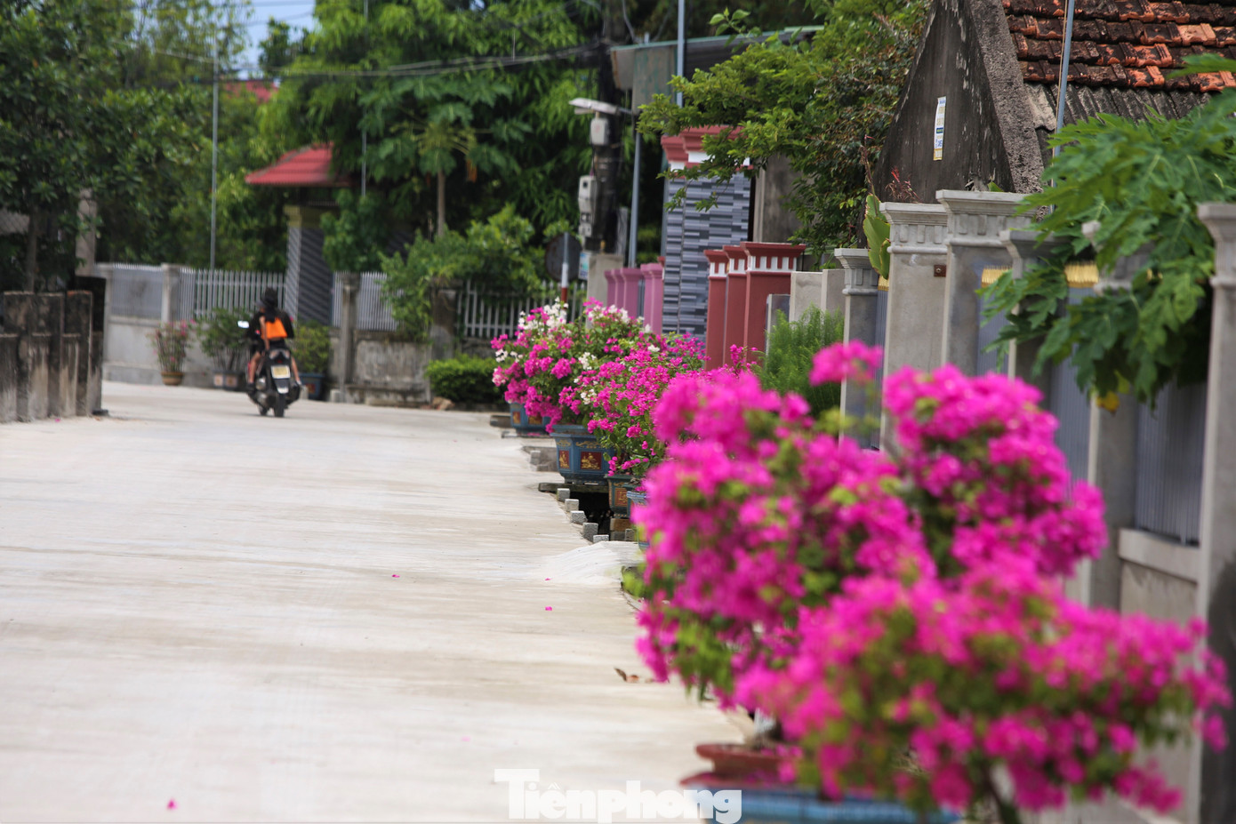 Theo người dân, từ năm 2018, địa phương đã xây dựng kế hoạch trồng hoa, cây cảnh trước nhà. Loài hoa được đa số người dân lựa chọn để làm đẹp cảnh quan là hoa giấy, mười giờ, chuỗi ngọc.