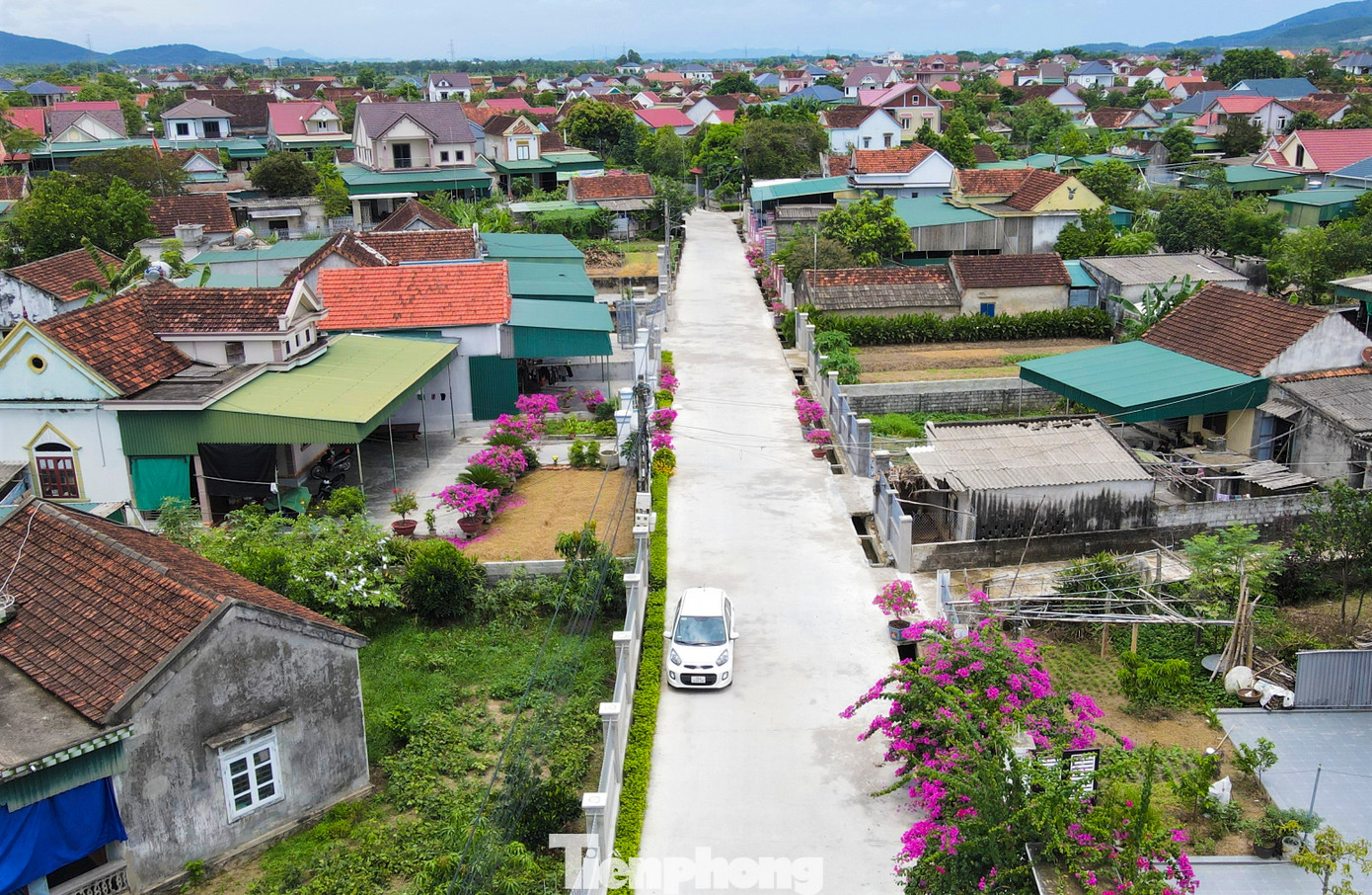 Những ngày này, trên các con đường ở xã Thiên Lộc, huyện Can Lộc (Hà Tĩnh) đâu đâu cũng thấy màu sắc sặc sỡ của những dàn hoa giấy đua nở.