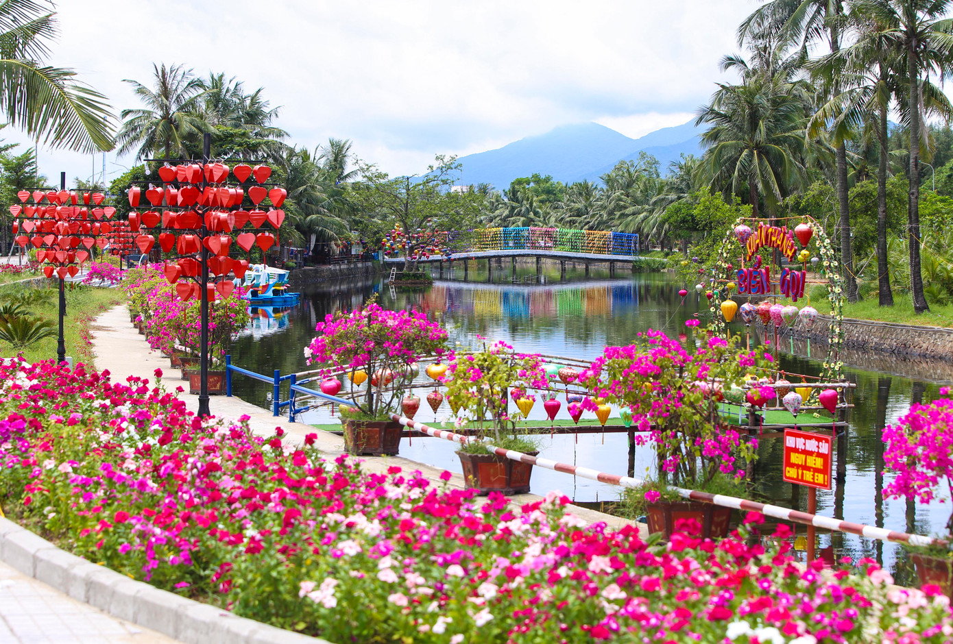 Những tuyến đường hoa vừa độ bung nở, tạo ấn tượng đối với du khách. Ở các góc đường, hàng nghìn chiếc đèn lồng được trang trí trên cây xanh đủ sắc màu mang đến một không gian mới lạ. Những tuyến đường hoa vừa độ bung nở, tạo ấn tượng đối với du khách. Ở các góc đường, hàng nghìn chiếc đèn lồng được trang trí trên cây xanh đủ sắc màu mang đến một không gian mới lạ.