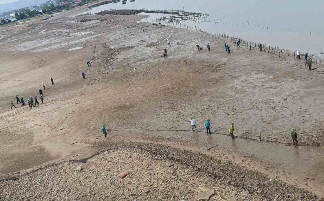 Hàng nghìn cọc nhọn đang được tháo dỡ.