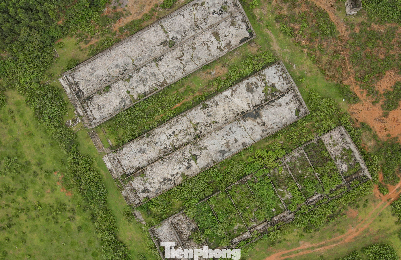 UBND tỉnh Hà Tĩnh sau đó đồng ý để công ty Dabaco Việt Nam thuê lại, song nhiều năm qua đơn vị này chưa có động thái đầu tư, sản xuất.