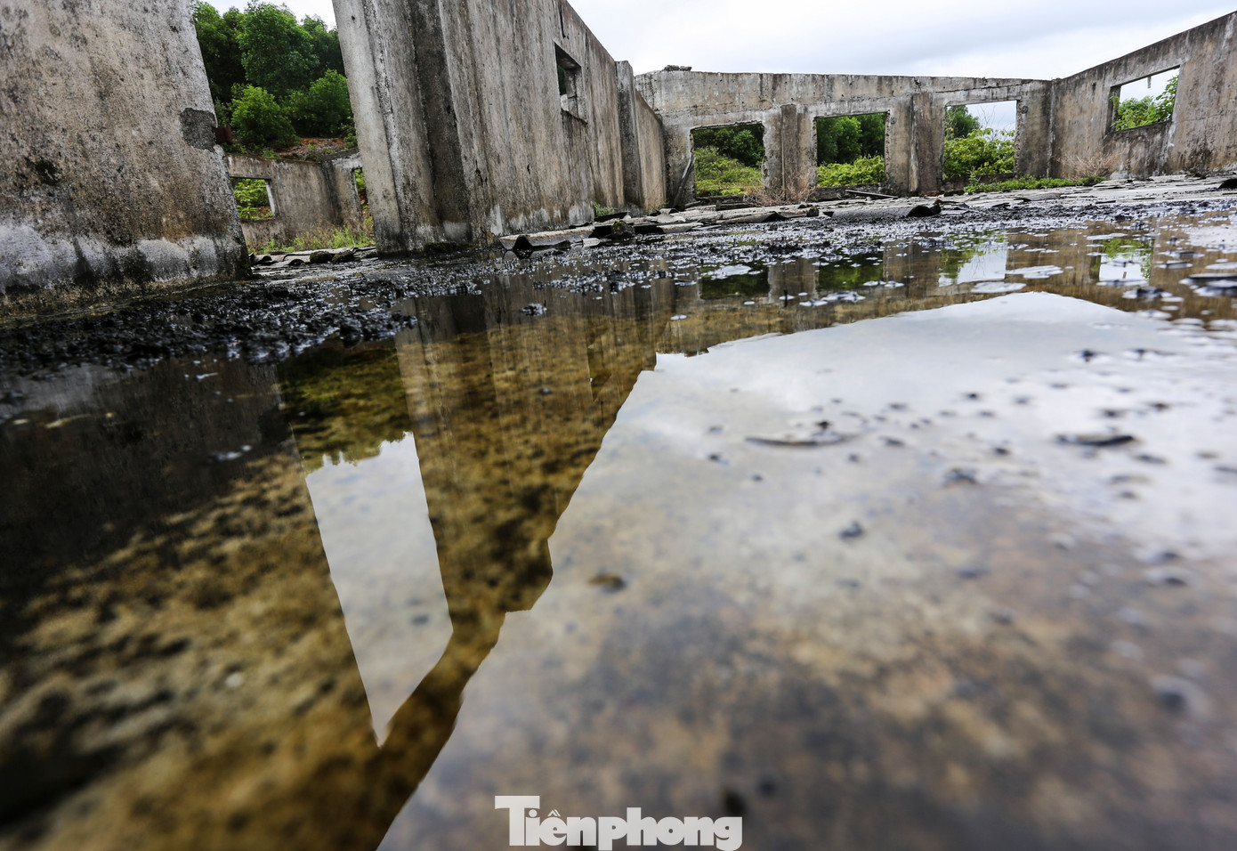 “Dự án không triển khai, nhà cửa hư hỏng, xuống cấp trong khi người dân thiếu đất sản xuất, rất lãng phí”, người dân xã Cẩm Lạc cho hay.