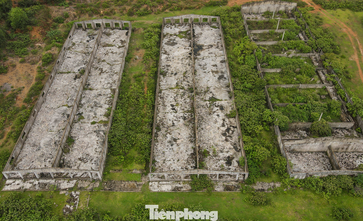 Công ty sau đó xây nhà điều hành, nhà ở cho công nhân, bốn dãy chuồng trại, ao hồ, hố xử lý chất thải để nuôi 300 con lợn và hơn 3.000 con gà giống. Tuy nhiên, ít năm triển khai, đến năm 2017, dự án dừng hoạt động, cơ sở vật chất và chuồng trại bỏ hoang.