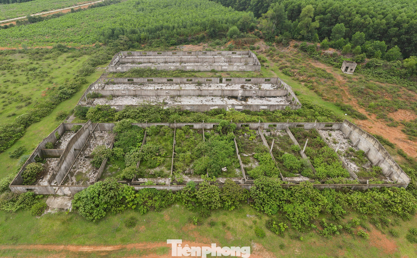 Bỏ hoang nhiều năm khiến trung tâm giống này bị ảnh hưởng, các dãy nhà hư hỏng, xuống cấp. Hiện cây cối mọc um tùm.