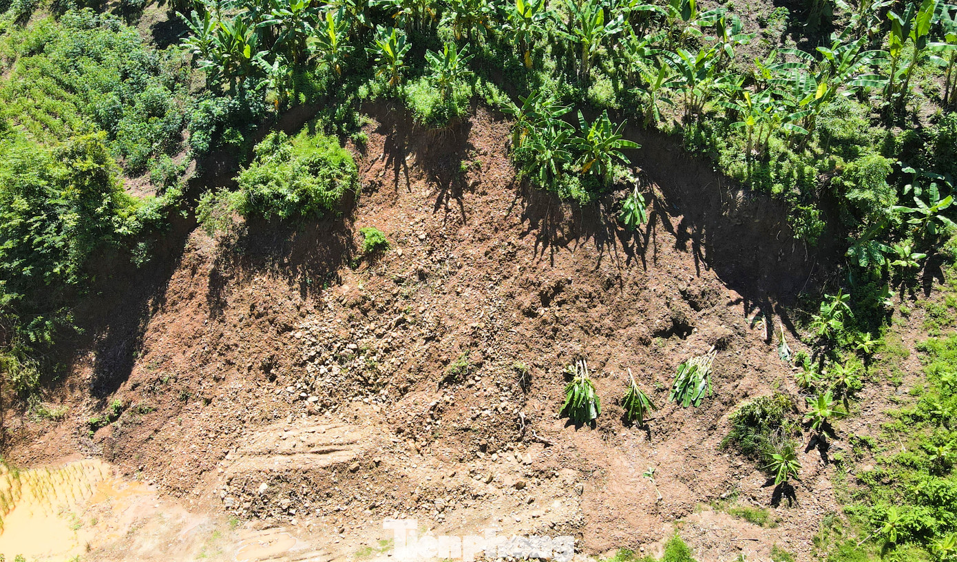 Sạt lở đất đá cũng cuốn trôi nhiều cây trồng của người dân địa phương.