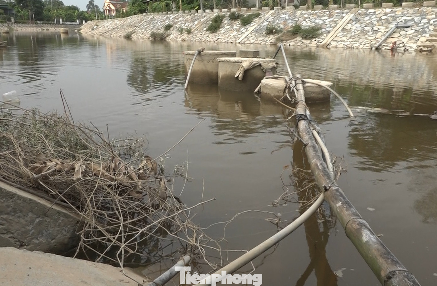 Ông Phạm Quốc Đạt - Chủ tịch UBND xã Trung Lộc cho biết, do trên địa bàn chưa có công trình cấp nước tập trung hay hệ thống nước sạch nên người dân địa phương chủ yếu sử dụng nước giếng nhiễm phèn, nước mưa và nước kênh, sông hồ để sinh hoạt.