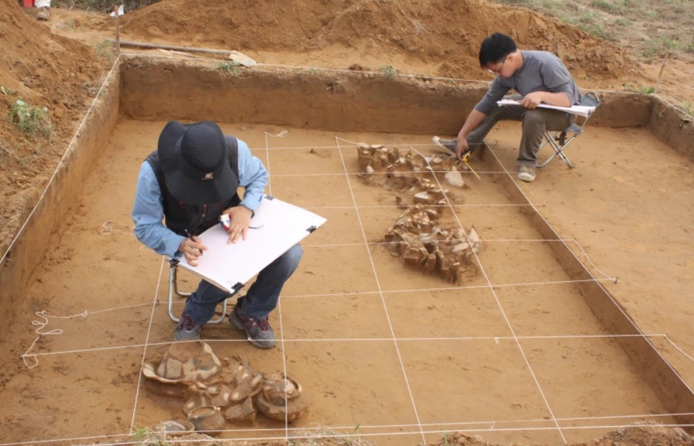 Thông qua nhiều lần khai quật có sự tham gia của các nhà nghiên cứu văn hóa, kết quả cho thấy, Bãi Cọi là di tích khảo cổ học đặc biệt, bởi nó mang đặc trưng của cả hai nền văn hóa Đông Sơn và Sa Huỳnh nổi tiếng. Năm 2014, Bộ Văn hóa, Thể thao và Du lịch đã công nhận Di tích Khảo cổ học Bãi Cọi là Di tích cấp Quốc gia.