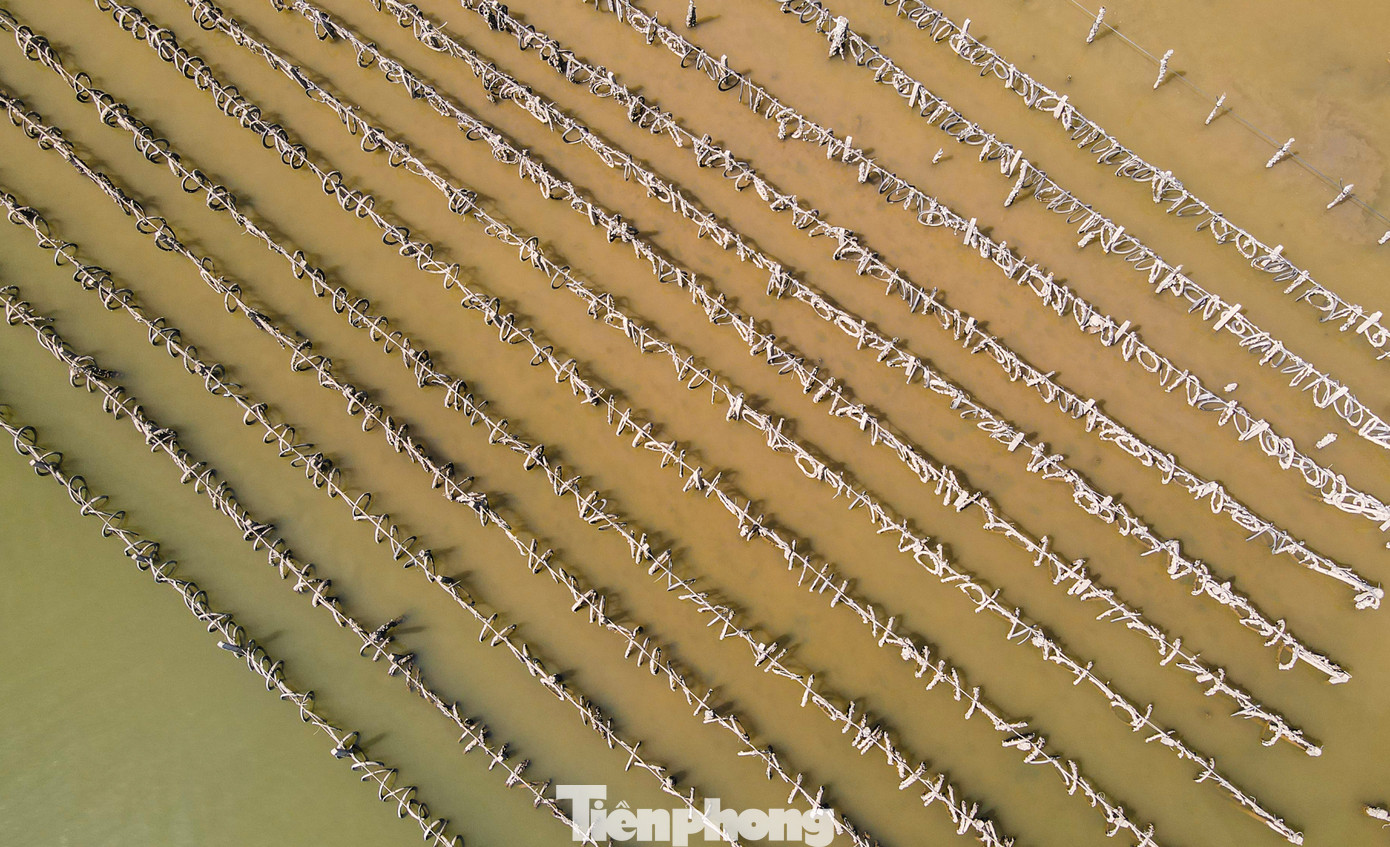 Việc cắm cọc trụ bê tông và dùng giá thể lốp xe nuôi hàu khiến lòng sông Rác như “ma trận”. Người dân rất khó để di chuyển tàu thuyền hoặc thả lưới, đánh bắt cá như trước. Việc cắm cọc trụ bê tông và dùng giá thể lốp xe nuôi hàu khiến lòng sông Rác như “ma trận”. Người dân rất khó để di chuyển tàu thuyền hoặc thả lưới, đánh bắt cá như trước.