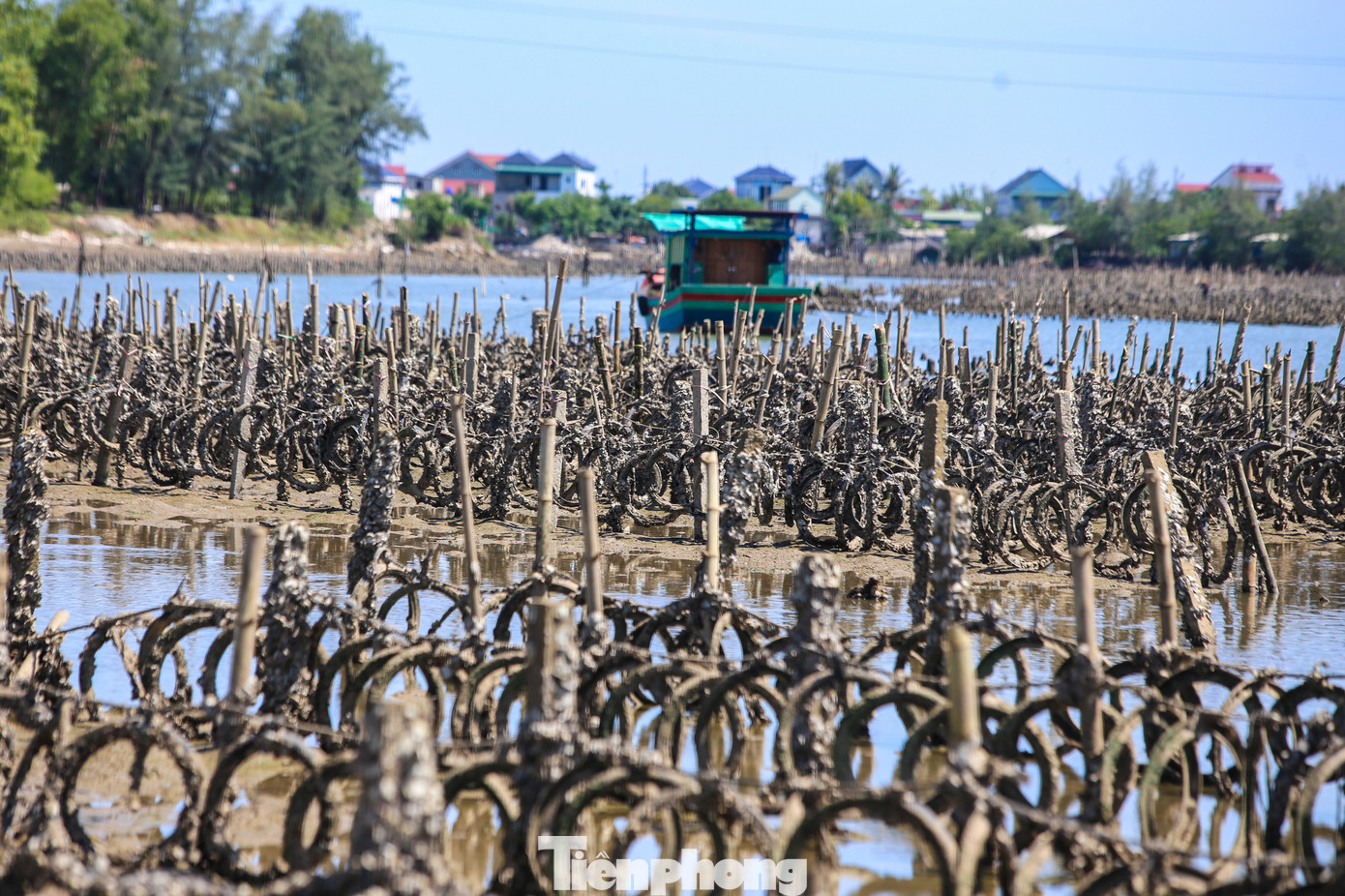 Hàng nghìn cọc bê tông bị chôn xuống lòng sông Rác.