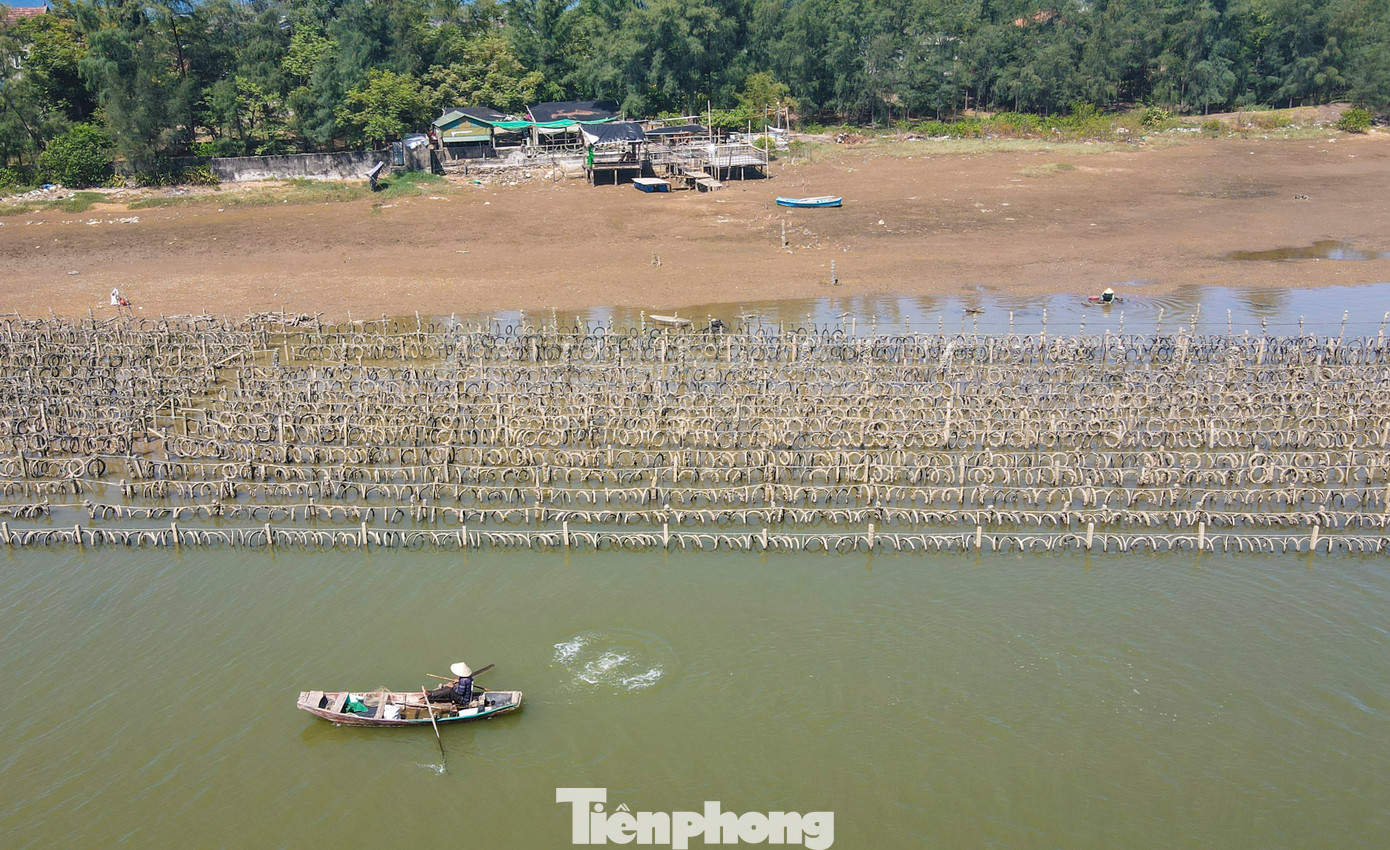 Việc cắm cọc trụ bê tông và dùng giá thể lốp xe nuôi hàu khiến lòng sông Rác như “ma trận”. Người dân rất khó để di chuyển tàu thuyền hoặc thả lưới, đánh bắt cá như trước. Việc cắm cọc trụ bê tông và dùng giá thể lốp xe nuôi hàu khiến lòng sông Rác như “ma trận”. Người dân rất khó để di chuyển tàu thuyền hoặc thả lưới, đánh bắt cá như trước.