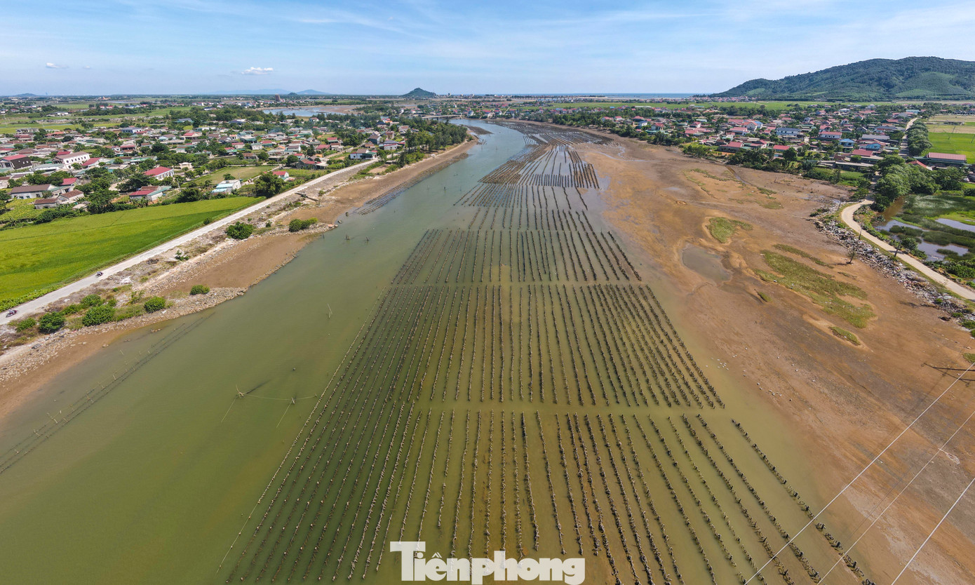 Người dân địa phương cho biết các cọc tre, trụ bê tông này được sử dụng làm giá thể nuôi hàu. Tuy nhiên, tình trạng nuôi tự phát, không được quy hoạch khiến luồng lạch giao thông đường thủy dần bị thu hẹp, gây mất an toàn cho tàu thuyền qua lại. Người dân địa phương cho biết các cọc tre, trụ bê tông này được sử dụng làm giá thể nuôi hàu. Tuy nhiên, tình trạng nuôi tự phát, không được quy hoạch khiến luồng lạch giao thông đường thủy dần bị thu hẹp, gây mất an toàn cho tàu thuyền qua lại.