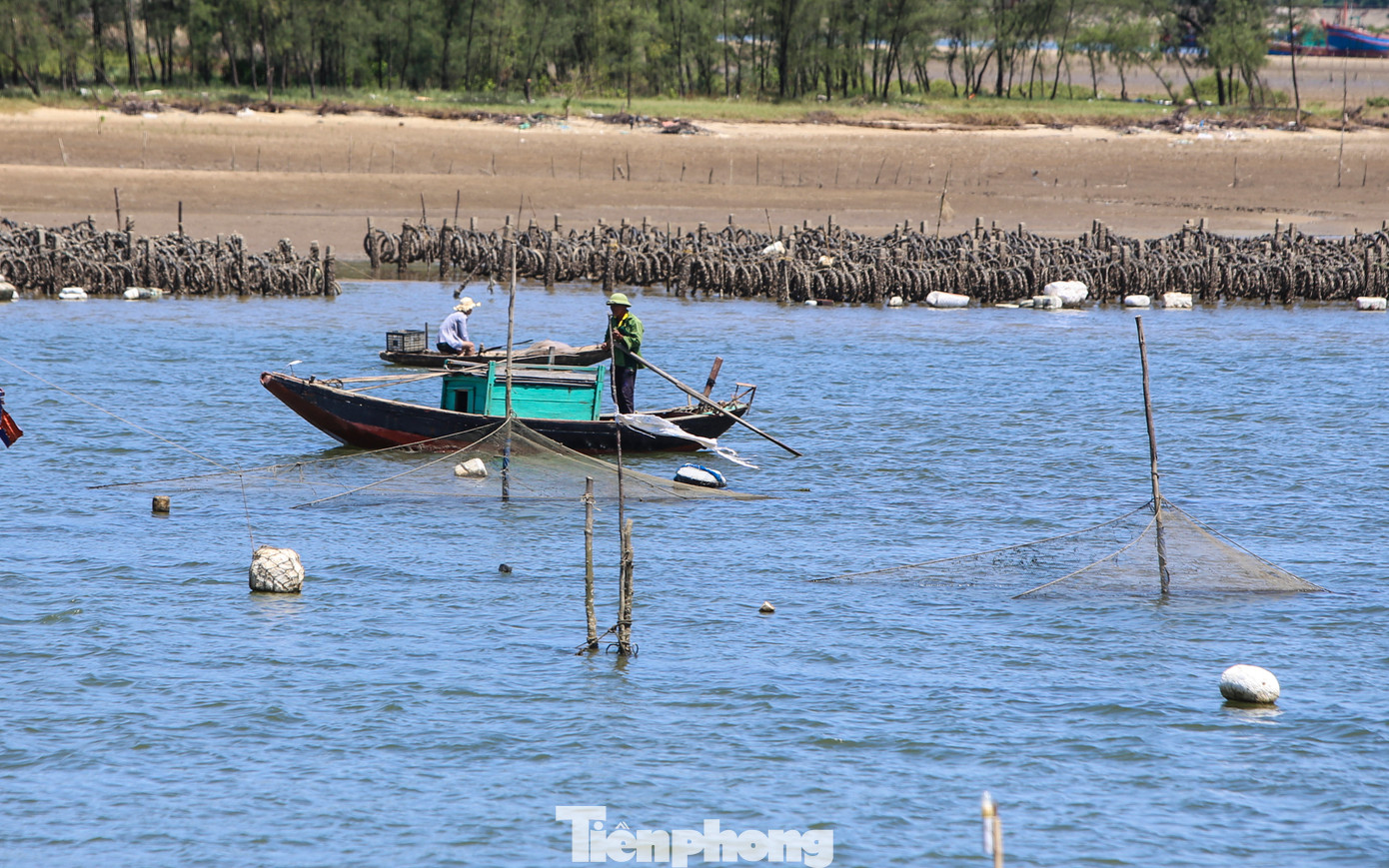 “Không ít tàu thuyền đã bị gãy chân vịt, thậm chí bị thủng đáy thuyền do va đập mạnh vào các trụ bê tông. Tàu thuyền đánh bắt tôm, cá quanh khu vực này đều gặp khó vì trụ bê tông, cọc tre cứ dựng đứng như “ma trận”. Sản lượng đánh bắt các loại hải sản vì thế cũng giảm mạnh", người dân xã Cẩm Lĩnh cho hay. “Không ít tàu thuyền đã bị gãy chân vịt, thậm chí bị thủng đáy thuyền do va đập mạnh vào các trụ bê tông. Tàu thuyền đánh bắt tôm, cá quanh khu vực này đều gặp khó vì trụ bê tông, cọc tre cứ dựng đứng như “ma trận”. Sản lượng đánh bắt các loại hải sản vì thế cũng giảm mạnh", người dân xã Cẩm Lĩnh cho hay.