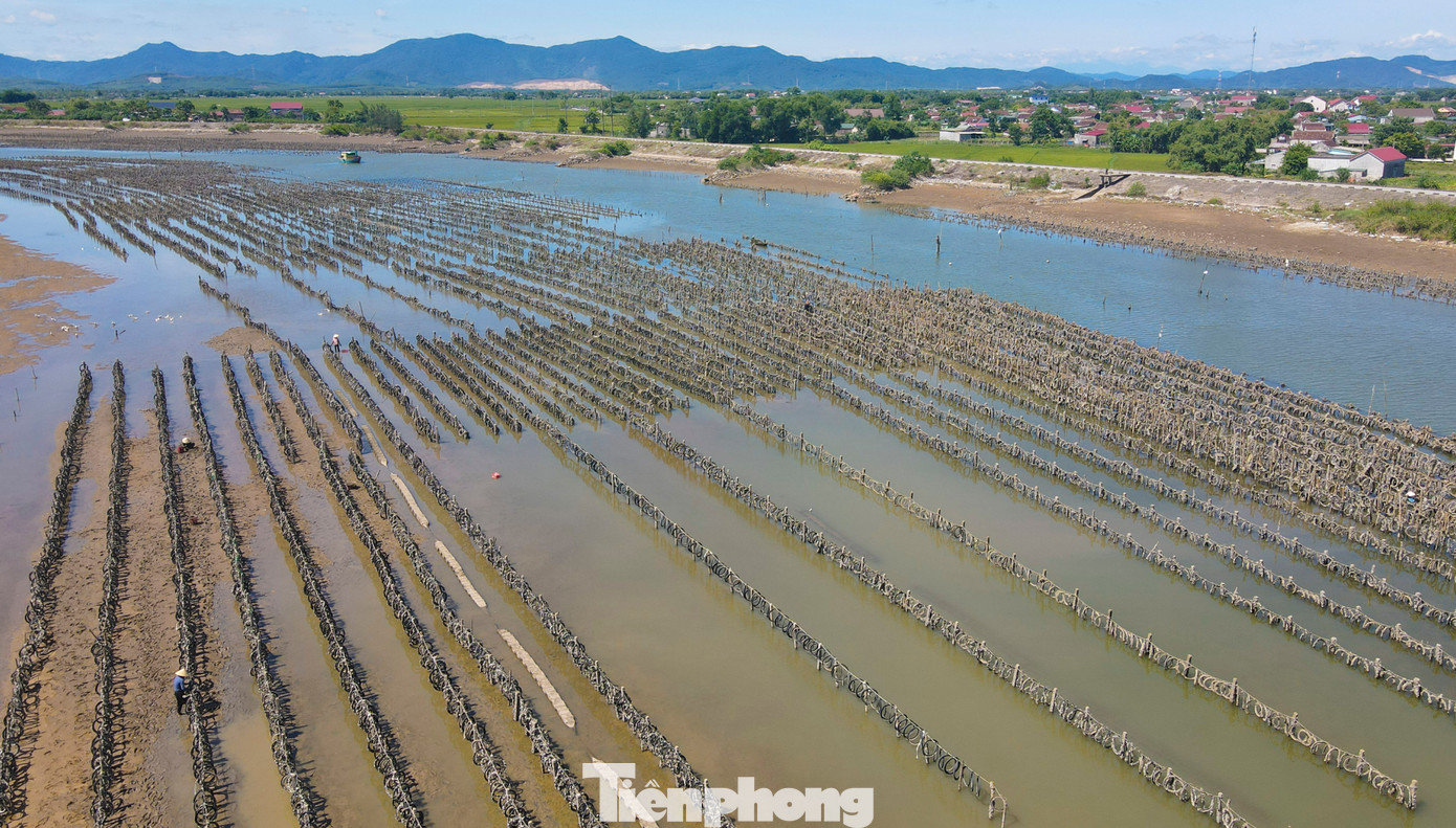 Hàng nghìn cọc bê tông bị chôn xuống lòng sông Rác.