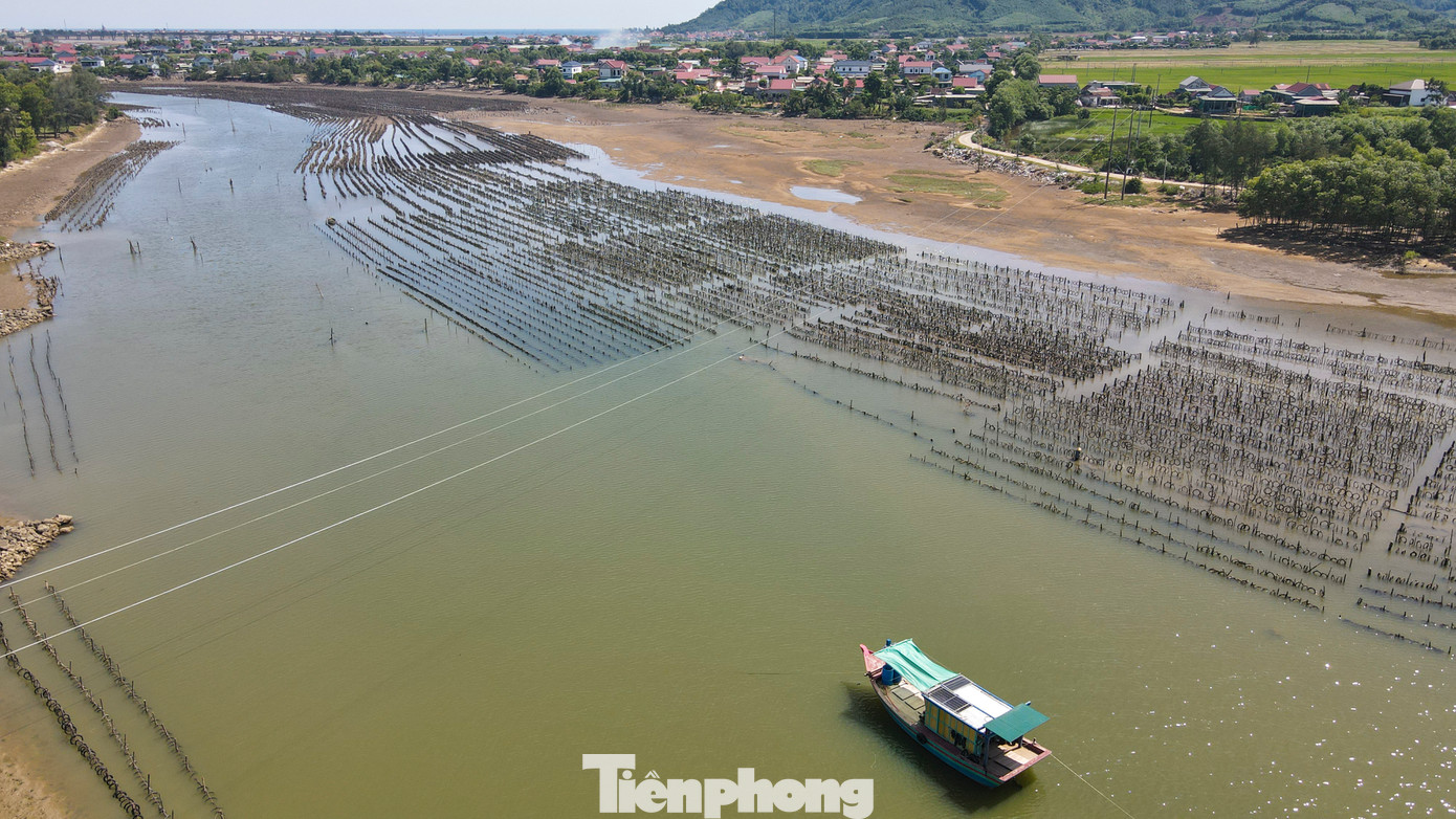“Người nuôi hàu họ cắm cọc ra giữa lòng sông khiến tàu thuyền qua lại gặp nguy hiểm, nhất là vào ban đêm, nước triều che lấp các trụ, khó phát hiện”, ông Tiến (62 tuổi) cho hay. “Người nuôi hàu họ cắm cọc ra giữa lòng sông khiến tàu thuyền qua lại gặp nguy hiểm, nhất là vào ban đêm, nước triều che lấp các trụ, khó phát hiện”, ông Tiến (62 tuổi) cho hay.