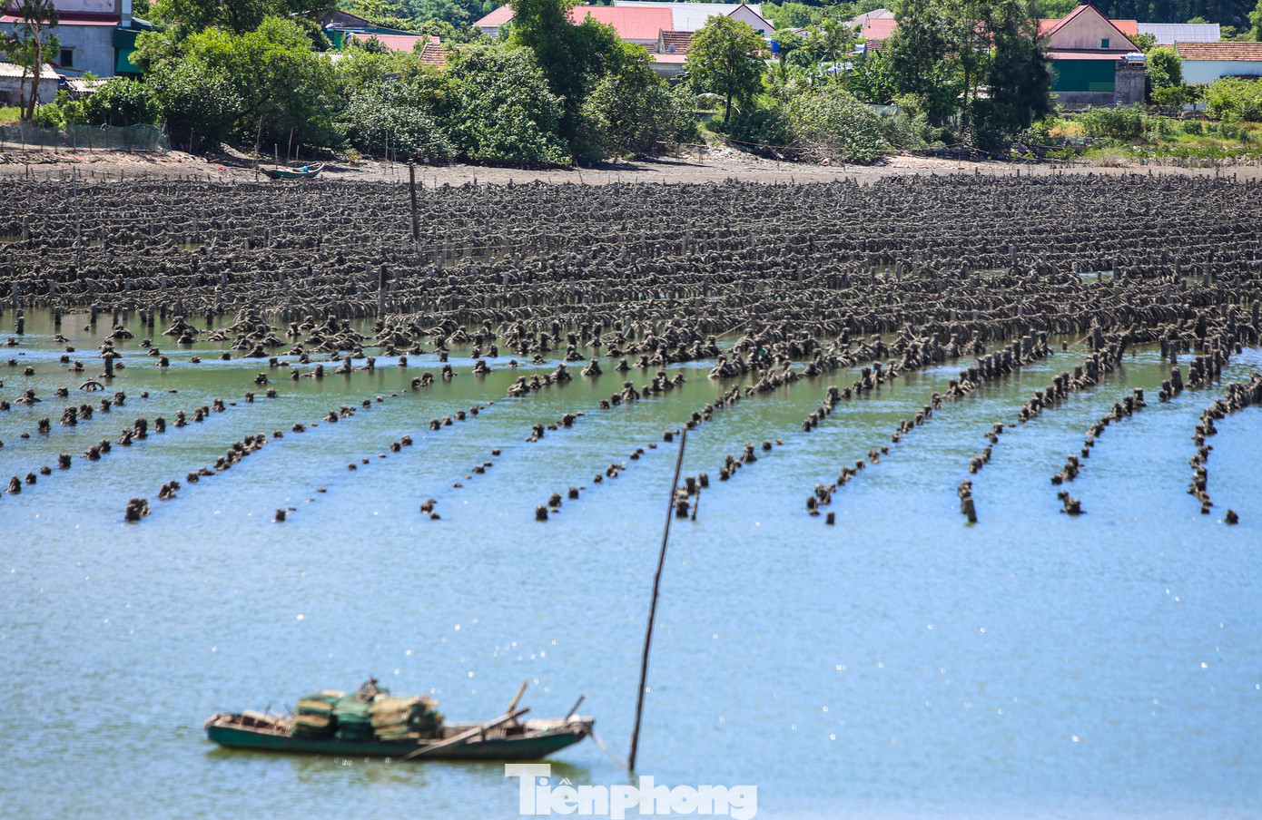 Dọc khu vực sông Rác ra cầu Cửa Nhượng qua xã Cẩm Lĩnh tình trạng cắm cọc tre, trụ bê tông ra giữa sông cũng diễn ra rất nhiều. Dọc khu vực sông Rác ra cầu Cửa Nhượng qua xã Cẩm Lĩnh tình trạng cắm cọc tre, trụ bê tông ra giữa sông cũng diễn ra rất nhiều.