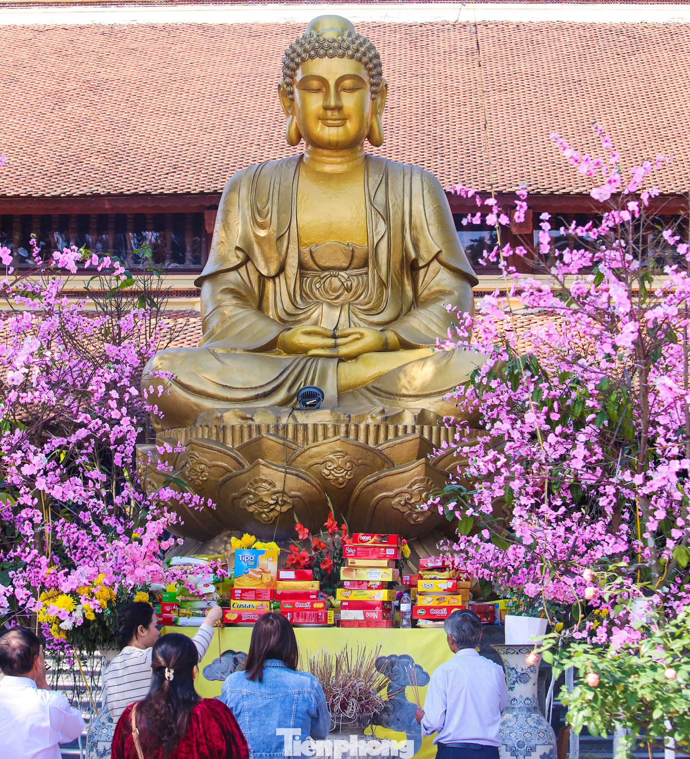 Bức tượng Phật tổ cao hơn 5 m được dát vàng, đặt trước sân chính điện chùa Thanh Lương.