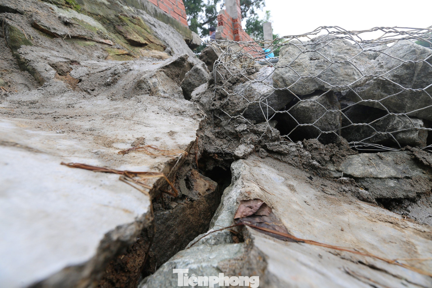 Do mưa lớn nên phần nền đất dọc bờ sông đã mềm nhũn, tiềm ẩn nguy cơ xảy ra sạt lở bất cứ lúc nào.