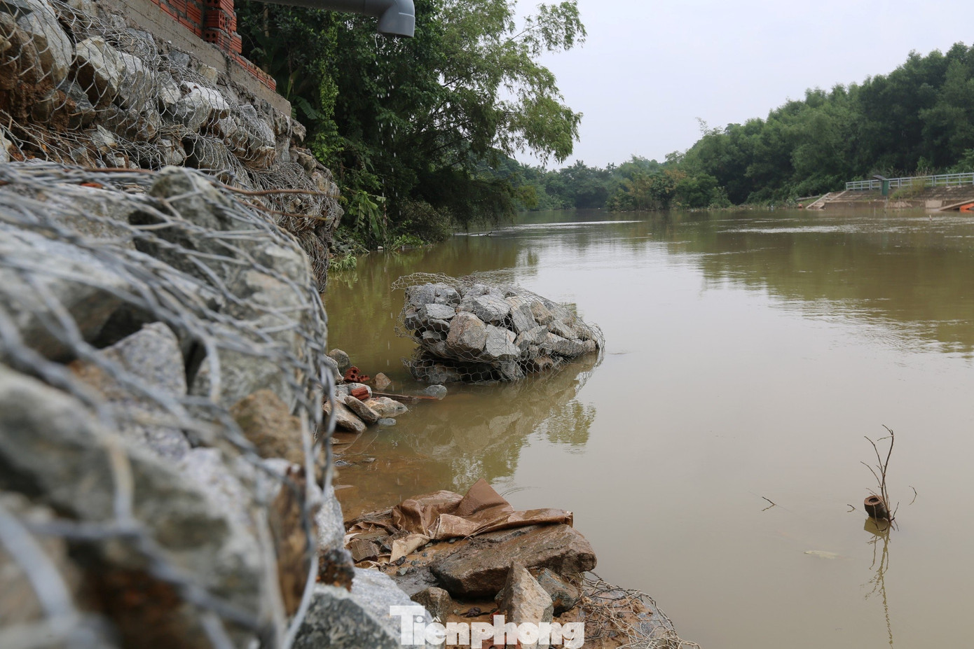 “Hàng rào dựng bằng bê tông cốt thép của gia đình tôi vừa mới xây bị triều cường kéo sập. Bây giờ, cứ hôm nào mưa to, cả gia đình lại không dám ngủ trong nhà, phải sơ tán đến nhà người quen lánh tạm", ông Tình cho hay.