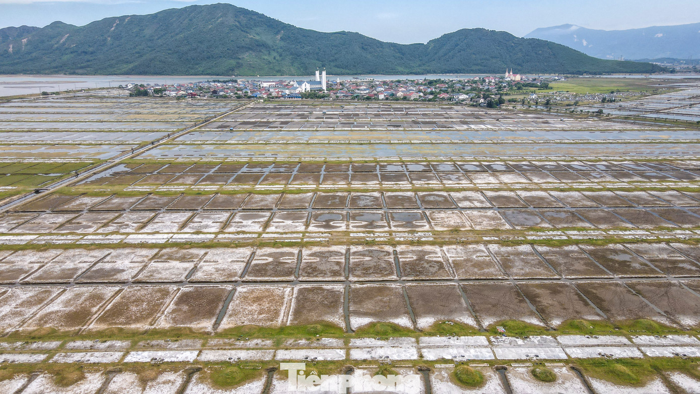 “Những ai còn bám trụ với nghề làm muối chủ yếu là người lớn tuổi không đi làm thuê được những nghề khác. Vợ chồng tôi cũng đang trụ lại làm 2 sào đất muối, kiếm 15-20 triệu đồng mỗi vụ”, ông Trần Văn Thắng (trú xã Kỳ Hà) nói. Trong ảnh là cánh đồng muối ở xã Kỳ Hà đang dần bị bỏ hoang diện tích lớn.