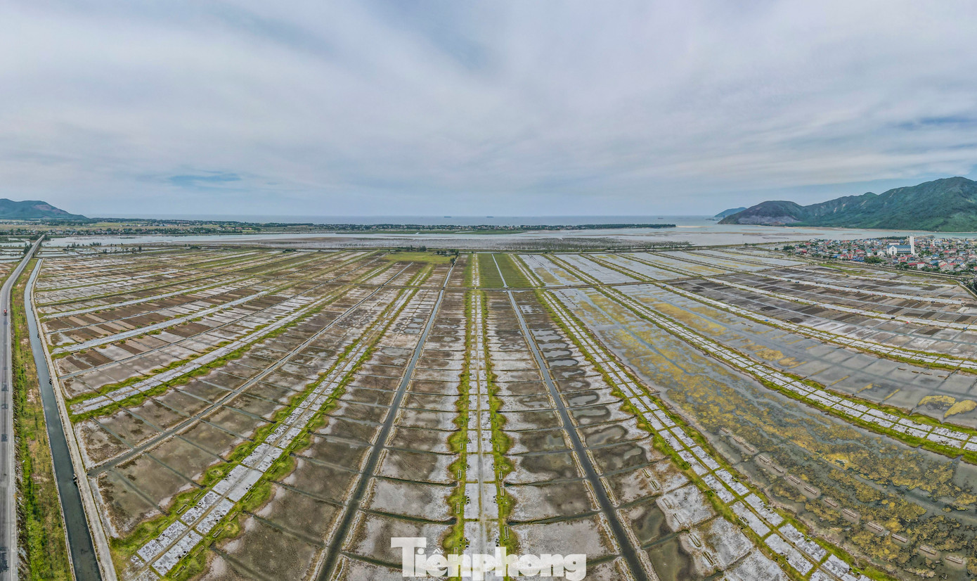 Xã Kỳ Hà (thị xã Kỳ Anh, Hà Tĩnh) trước đây là vựa sản xuất muối nổi tiếng, lớn nhất nhì tỉnh này nhưng nhiều năm qua, hàng chục ha đất ruộng muối bỏ hoang, cỏ dại mọc um tùm.