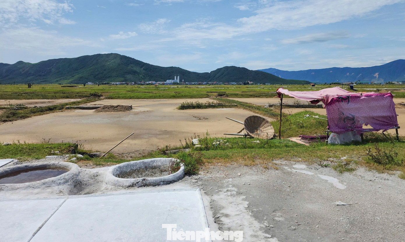 Tại xã Hộ Độ (huyện Lộc Hà) hay xã Đỉnh Bàn (huyện Thạch Hà) cũng xảy ra tình trạng tương tự khi hàng cả trăm ha đất quy hoạch làm muối đang bỏ hoang.