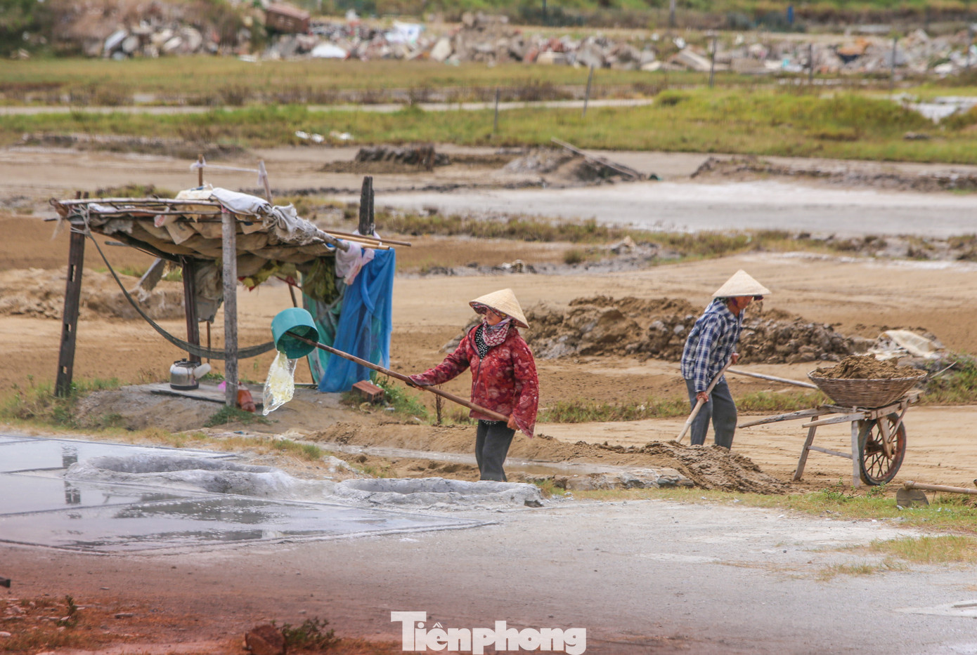 Ông Lê Văn Luyện - Bí thư Đảng ủy xã Kỳ Hà - cho biết, lúc cao điểm, toàn xã có khoảng 1.000 - 1.200 hộ dân sản xuất muối với tổng diện tích 73ha, mỗi năm cung ứng cho thị trường hơn 10.000 tấn muối. Thế nhưng, từ năm 2016 đến nay, nghề muối ở xã Kỳ Hà bắt đầu sụt giảm mạnh cả về diện tích, sản lượng và số lượng hộ dân làm muối.