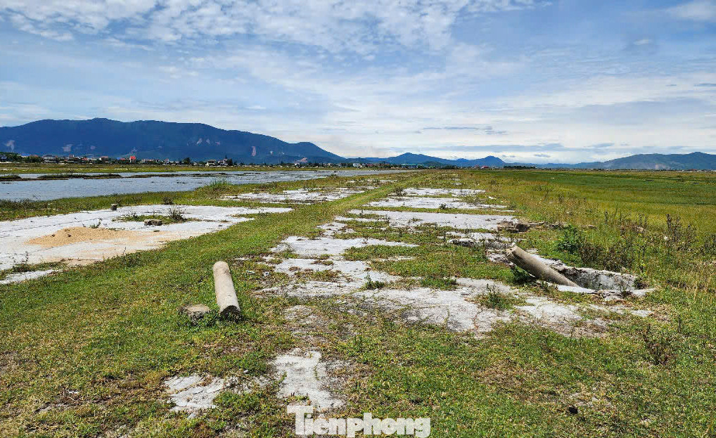 Lãnh đạo UBND xã Hộ Độ (huyện Lộc Hà) thông tin, toàn xã Hộ Độ hiện có 40 hộ diêm dân đang sản xuất 3ha muối trong tổng số 120ha đất muối. Trong ảnh, nhiều diện tích muối cỏ cây um tùm, thành nơi chăn thả gia súc hoặc chăn nuôi gia cầm của người dân.