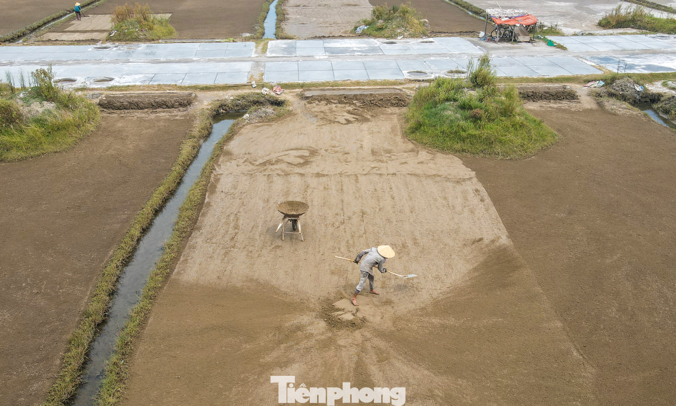 “Nghề muối càng ngày càng ít người làm. Hiện chỉ còn lại khoảng 70-80 hộ dân bám trụ cầm chừng với nghề sản xuất muối trên diện tích khoảng 15ha, sản lượng ước đạt khoảng 1.000-1.200 tấn muối/năm”, vị lãnh đạo địa phương cho hay.