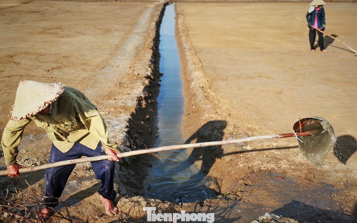 “Giờ muối từ miền Nam ra nhiều mà giá rẻ hơn nên việc tiêu thụ muối của địa phương gặp khó khăn. Chẳng ai muốn theo nghề muối nữa, chỉ có ông già, bà lão hoặc những người sức khỏe yếu không đi làm thuê nghề khác được mới phải bám lấy nghề muối thôi”, lãnh đạo xã Hộ Độ thông tin.