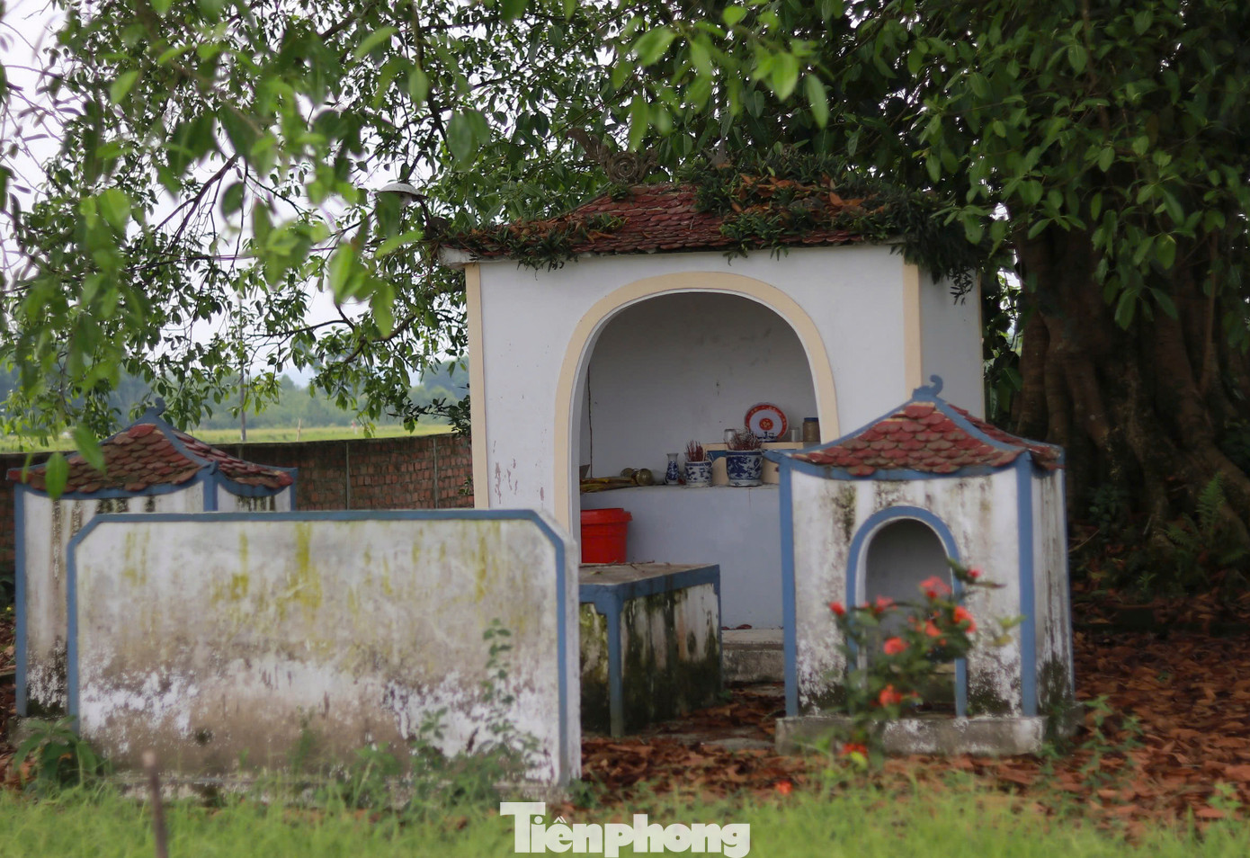 Những năm qua, tại gốc đa này, người dân địa phương cũng lập nên miếu thờ Thành Hoàng làng. Là địa điểm sinh hoạt tâm linh của người dân trong các ngày rằm và ngày mùng một. Dưới tán cây, những buổi họp làng và các hoạt động cộng đồng cũng được diễn ra qua bao đời nay.