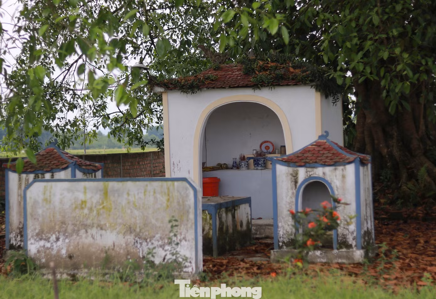 Những năm qua, tại gốc đa này, người dân địa phương cũng lập nên miếu thờ Thành Hoàng làng. Là địa điểm sinh hoạt tâm linh của người dân trong các ngày rằm và ngày mùng một. Dưới tán cây, những buổi họp làng và các hoạt động cộng đồng cũng được diễn ra qua bao đời nay.