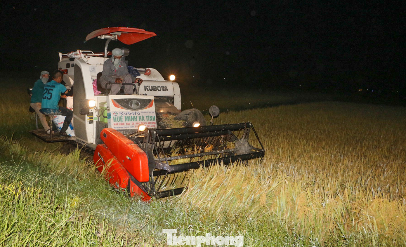Do thời tiết đang có nền nhiệt cao, đúng vào đợt nắng nóng nên ngoài gặt ngày, nông dân Hà Tĩnh cũng tăng cường gặt đêm để tránh nắng.
