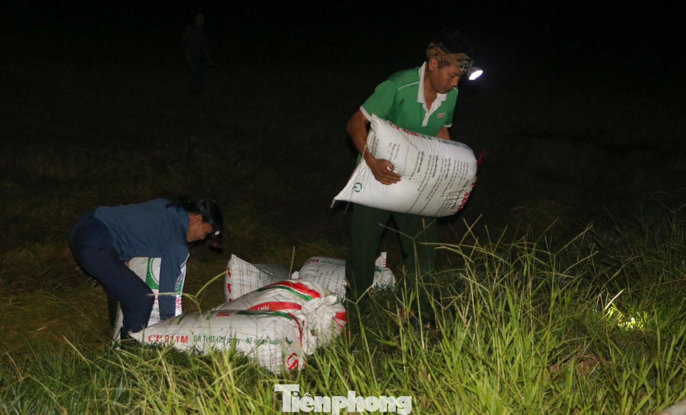 “Ngoài ban ngày, chúng tôi còn tận dụng ban đêm để thu hoạch lúa cho bà con. Ban đêm mát mẻ nên việc thu hoạch rất hiệu quả, cả người dân và chủ máy đều vui”, ông Nguyễn Hữu Thọ (chủ máy gặt lúa ở xã Nam Phúc Thăng, huyện Cẩm Xuyên) cho biết.