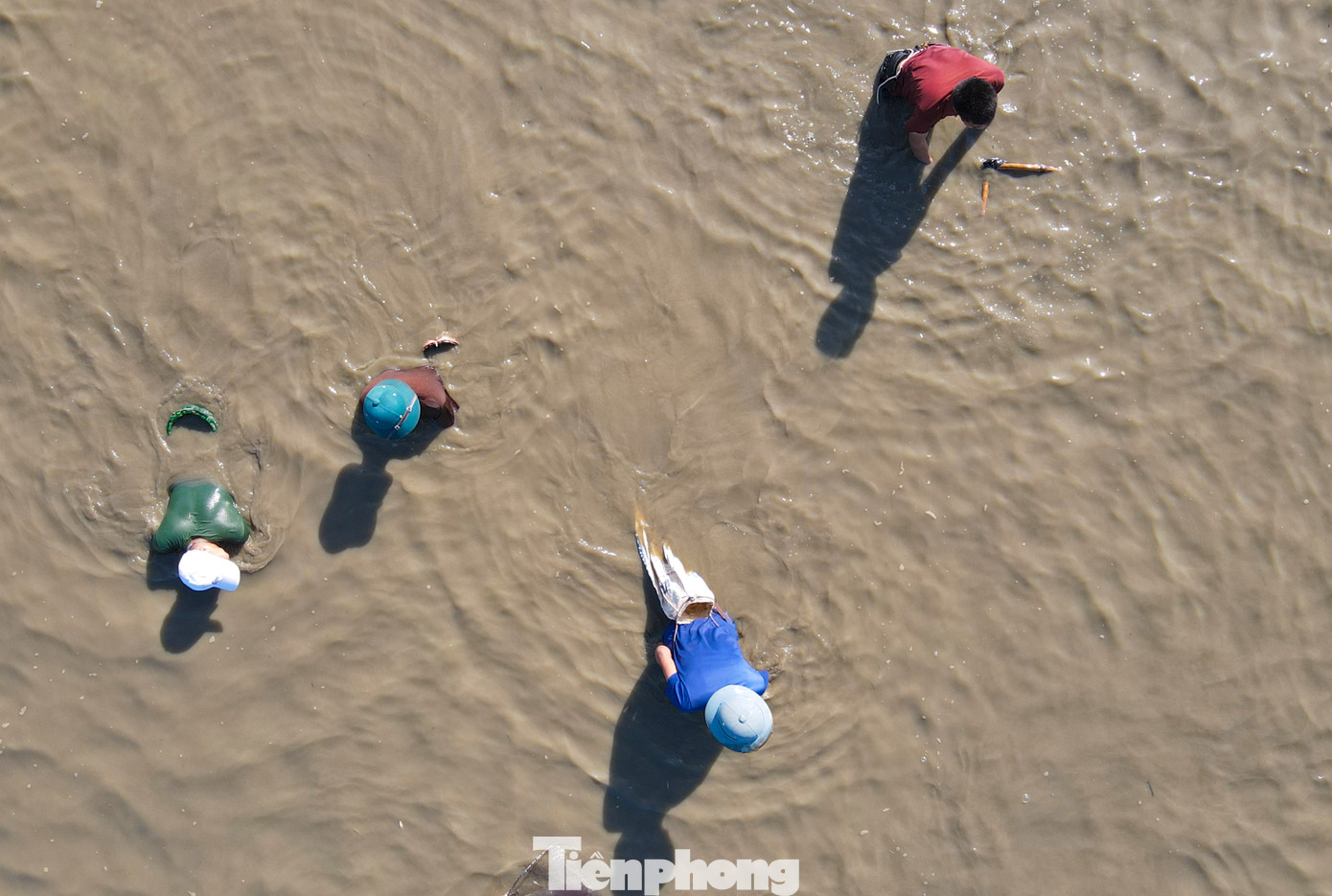 Nhiều người nằm sát xuống mặt nước, cố bắt những đàn cá dưới đầm.