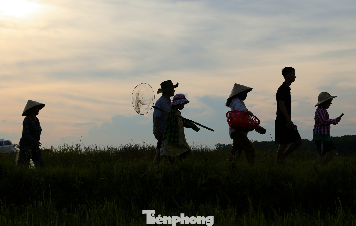 Lễ hội được tổ chức vào khoảng tháng 4-5 âm lịch, khi người dân đã xong mùa màng. Trong ảnh: Hàng nghìn người dân chuẩn bị dụng cụ đánh bắt cá từ lưới, nơm, vó... đi ra khu vực đầm Vực từ sáng sớm để tham gia lễ hội.