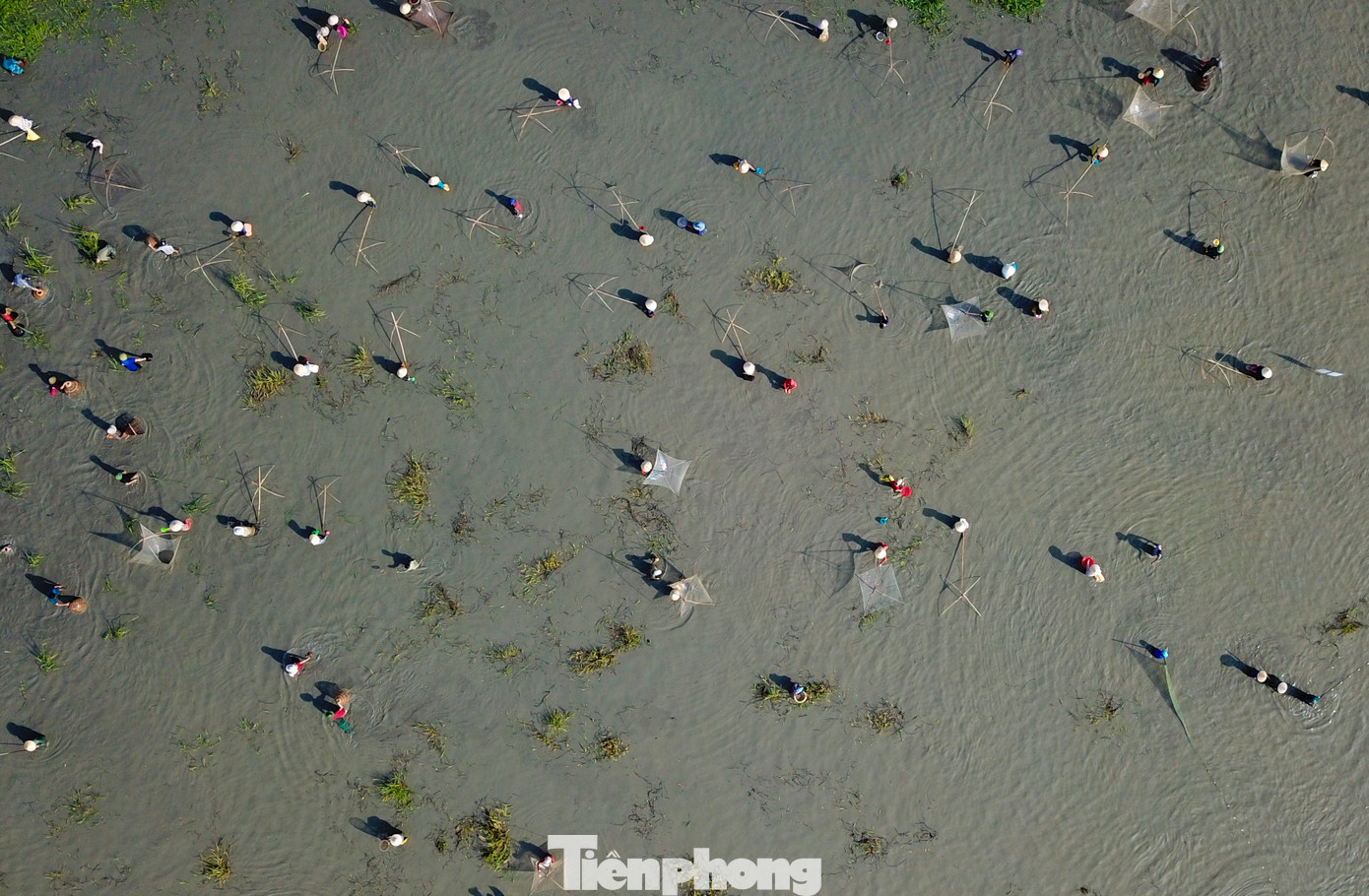 Người dân địa phương cho biết, ngày thường họ không được bắt cá tại đầm Vực. Dân làng sẽ cắt cử người trông giữ và chỉ cho đánh bắt vào ngày hội được tổ chức mỗi năm một lần.