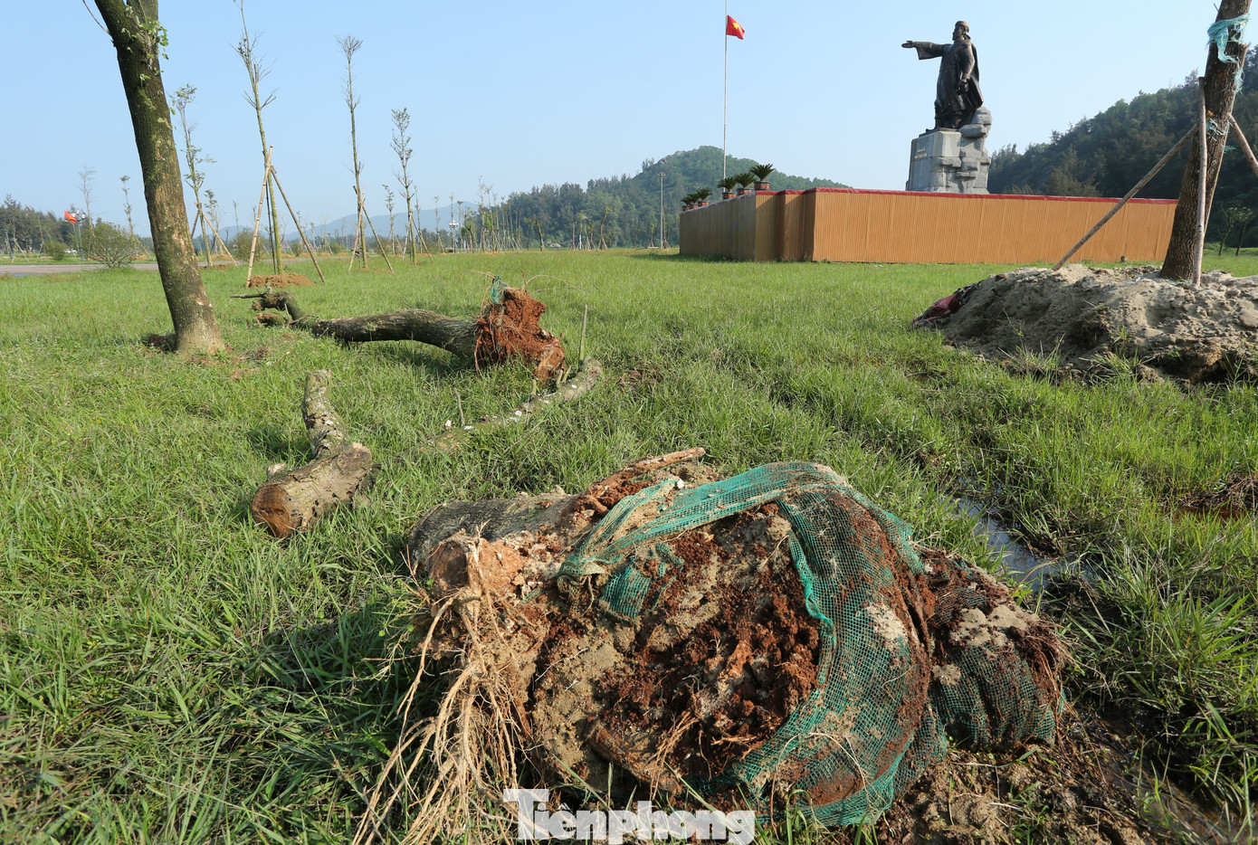 Qua tìm hiểu, có ít nhất 5 dự án trồng, chăm sóc cây xanh với giá trị hàng chục tỷ đồng được thực hiện tại huyện Lộc Hà. Qua tìm hiểu, có ít nhất 5 dự án trồng, chăm sóc cây xanh với giá trị hàng chục tỷ đồng được thực hiện tại huyện Lộc Hà.