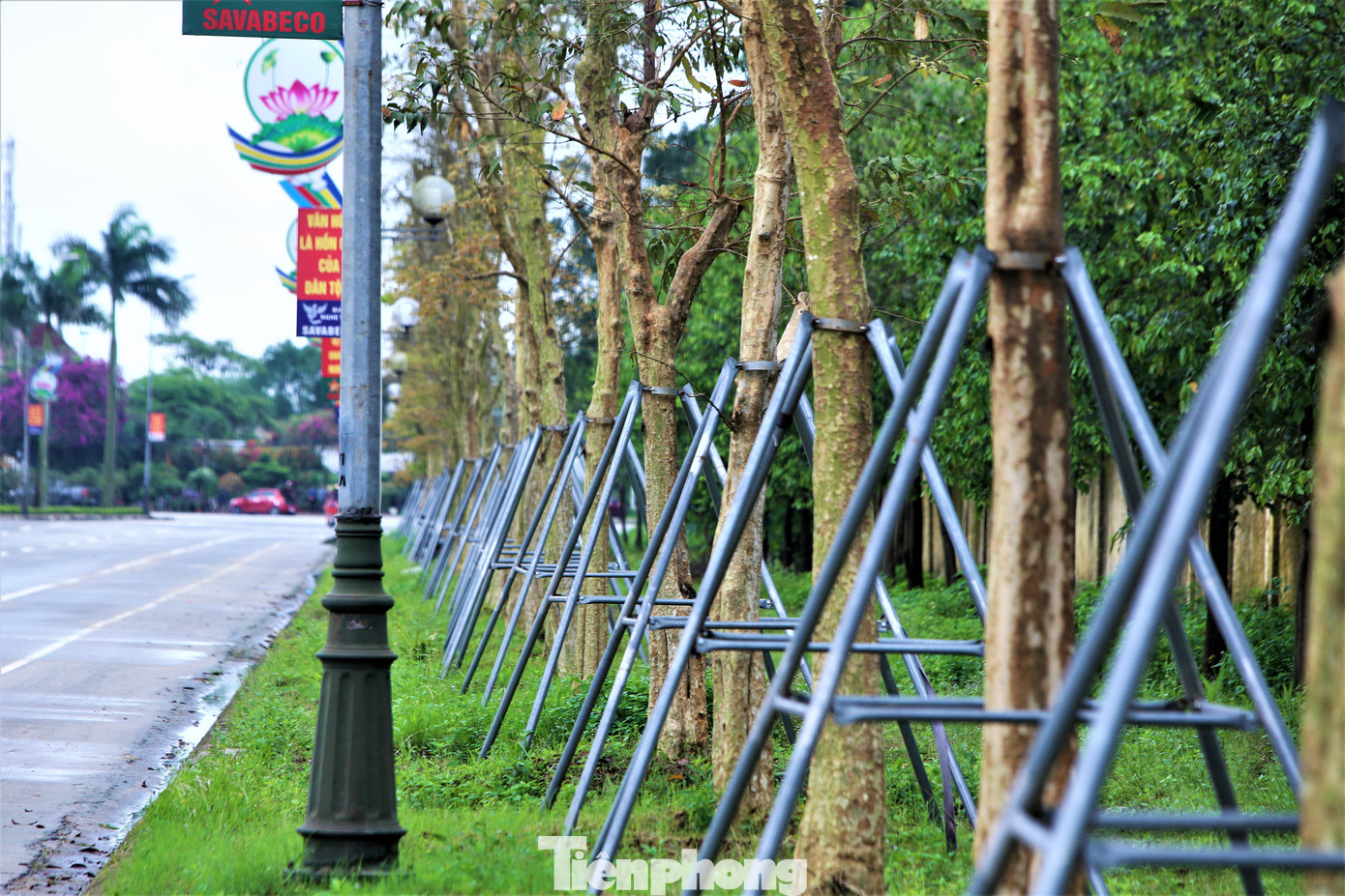 Tại các huyện Đức Thọ, Hương Khê, Can Lộc, Lộc Hà, Kỳ Anh… cũng đang rà soát tổng hợp các dự án trồng cây trên địa bàn giai đoạn 2019-2023 để báo cáo ngành chức năng. Mỗi địa phương có từ 2-6 dự án với mỗi gói thầu đều có giá trị tiền tỷ. Một dự án trồng cây săng lẻ ở thành phố Hà Tĩnh phát triển tốt. Tại các huyện Đức Thọ, Hương Khê, Can Lộc, Lộc Hà, Kỳ Anh… cũng đang rà soát tổng hợp các dự án trồng cây trên địa bàn giai đoạn 2019-2023 để báo cáo ngành chức năng. Mỗi địa phương có từ 2-6 dự án với mỗi gói thầu đều có giá trị tiền tỷ. Một dự án trồng cây săng lẻ ở thành phố Hà Tĩnh phát triển tốt.