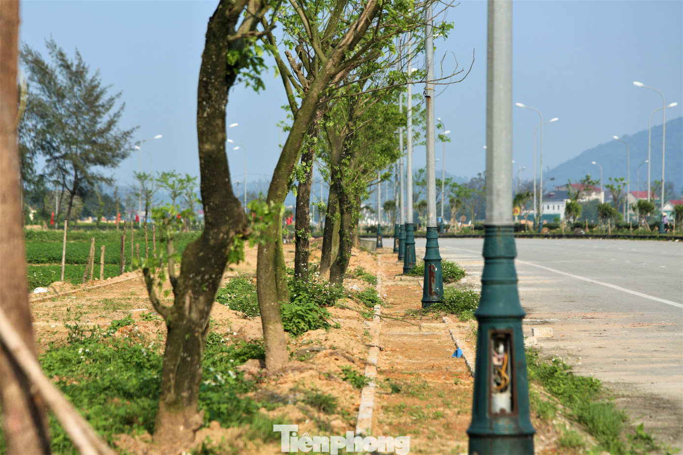 Tại các dự án chỉnh trang cảnh quan, trồng mới cây xanh khác ở khu trung tâm hành chính huyện Lộc Hà, ngoài các cây phát triển tốt cũng có nhiều cây có dấu hiệu chết, khô, gãy chưa được thay thế. Tại các dự án chỉnh trang cảnh quan, trồng mới cây xanh khác ở khu trung tâm hành chính huyện Lộc Hà, ngoài các cây phát triển tốt cũng có nhiều cây có dấu hiệu chết, khô, gãy chưa được thay thế.