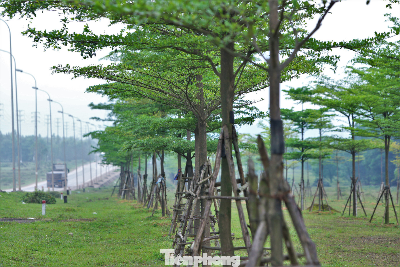 Sở Kế hoạch và Đầu tư Hà Tĩnh đang phối hợp với Sở Xây dựng, Sở Tài chính và các ngành, đơn vị, địa phương rà soát thông tin về các dự án trồng, chăm sóc cây xanh trên địa bàn tỉnh này từ năm 2019 đến 2023 trước yêu cầu từ Bộ Công an. Sở Kế hoạch và Đầu tư Hà Tĩnh đang phối hợp với Sở Xây dựng, Sở Tài chính và các ngành, đơn vị, địa phương rà soát thông tin về các dự án trồng, chăm sóc cây xanh trên địa bàn tỉnh này từ năm 2019 đến 2023 trước yêu cầu từ Bộ Công an.