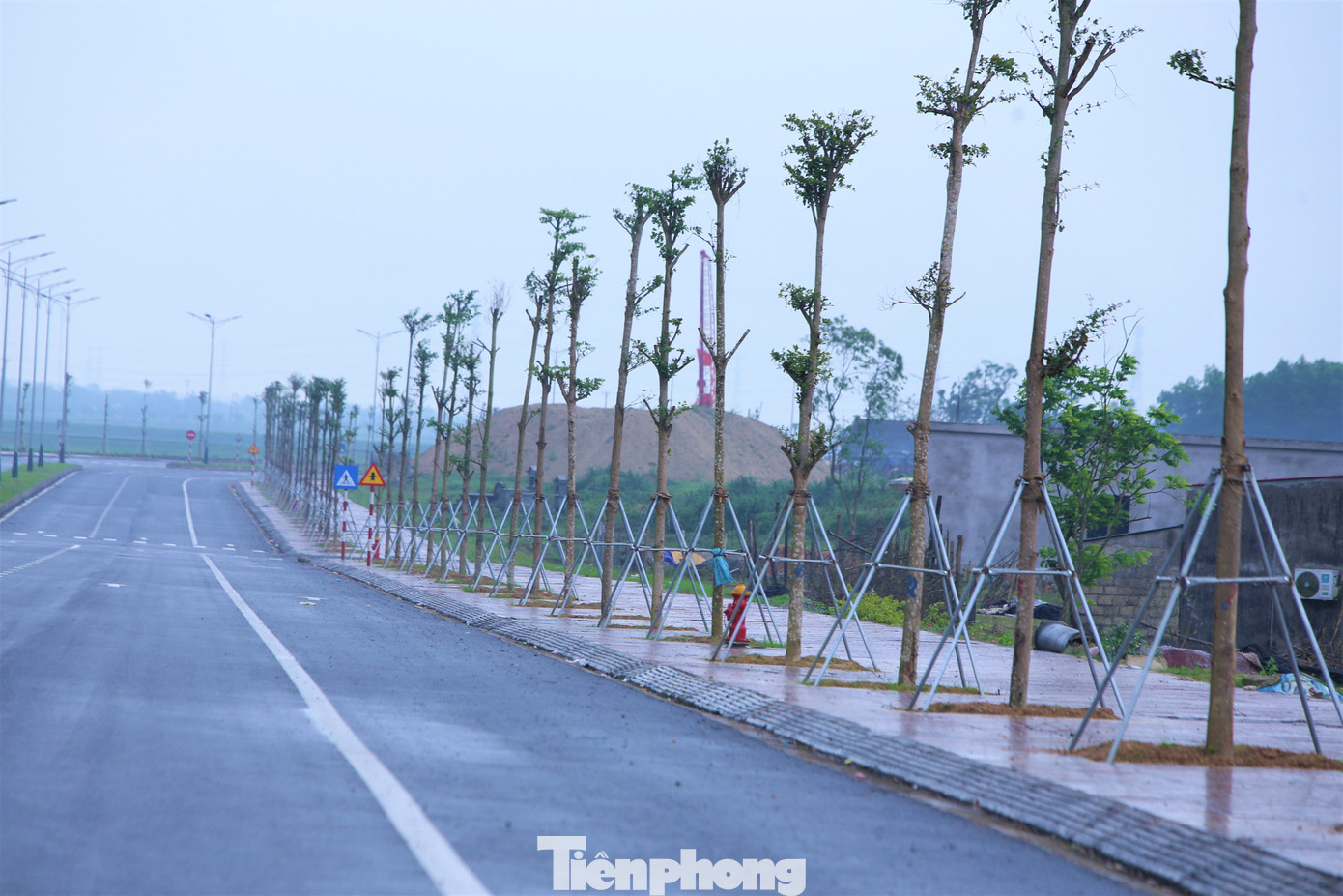 Một dự án trồng cây giáng hương vừa thực hiện ở thị xã Kỳ Anh. Một dự án trồng cây giáng hương vừa thực hiện ở thị xã Kỳ Anh.