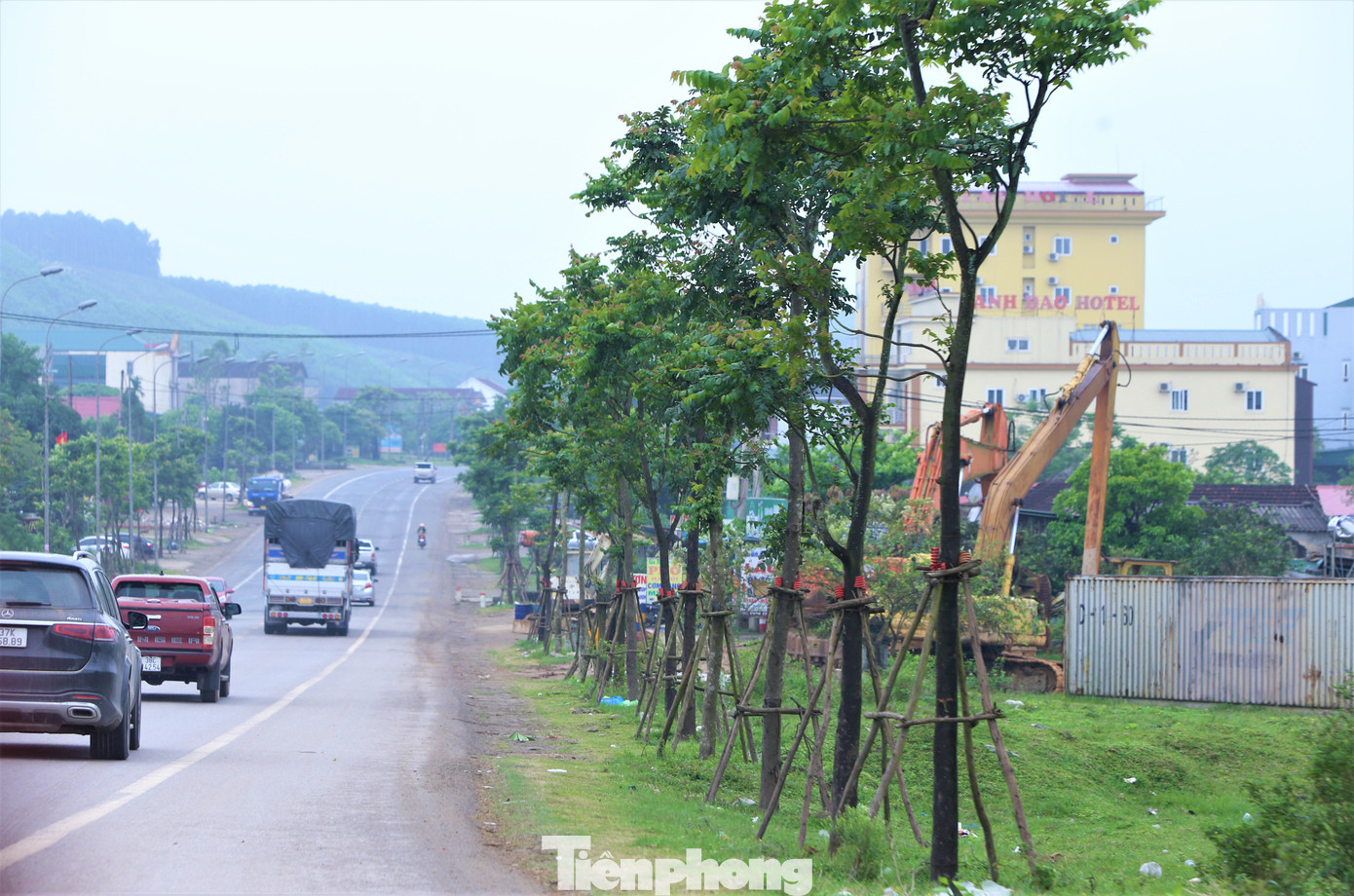 Việc kiểm tra để làm rõ quy trình từ xin chủ trương đến nghiệm thu, thanh toán và thông tin về các nhà thầu trúng thầu, thi công dự án. Theo ghi nhận của phóng viên, tại một số địa phương có nhiều cây xanh được trồng theo dự án phát triển tốt song cũng có nhiều dự án cây trồng được phát hiện đã chết, chưa được bổ sung thay thế. Việc kiểm tra để làm rõ quy trình từ xin chủ trương đến nghiệm thu, thanh toán và thông tin về các nhà thầu trúng thầu, thi công dự án. Theo ghi nhận của phóng viên, tại một số địa phương có nhiều cây xanh được trồng theo dự án phát triển tốt song cũng có nhiều dự án cây trồng được phát hiện đã chết, chưa được bổ sung thay thế.
