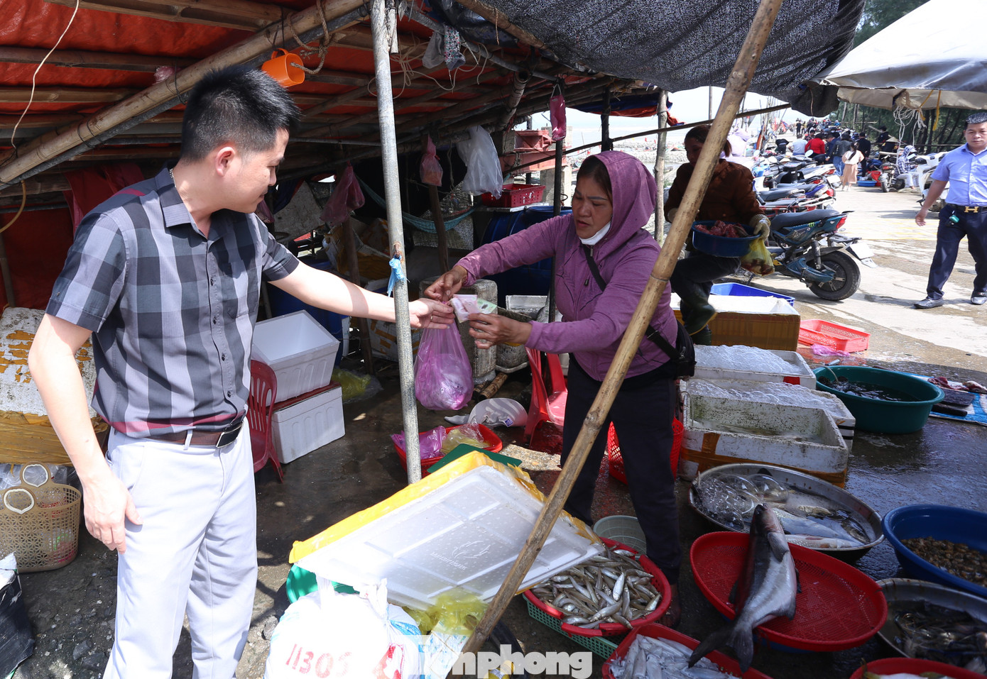 “Mới đầu mùa nhưng ghẹ rất to, chắc, giá cá cũng ở mức vừa nên nhiều người lựa chọn. Nhìn từng mớ tôm, ghẹ tươi ngon nên tôi cũng chọn mua để chiêu đãi gia đình”, anh Xuân Sinh (36 tuổi, trú TP Hà Tĩnh) nói. “Mới đầu mùa nhưng ghẹ rất to, chắc, giá cá cũng ở mức vừa nên nhiều người lựa chọn. Nhìn từng mớ tôm, ghẹ tươi ngon nên tôi cũng chọn mua để chiêu đãi gia đình”, anh Xuân Sinh (36 tuổi, trú TP Hà Tĩnh) nói.