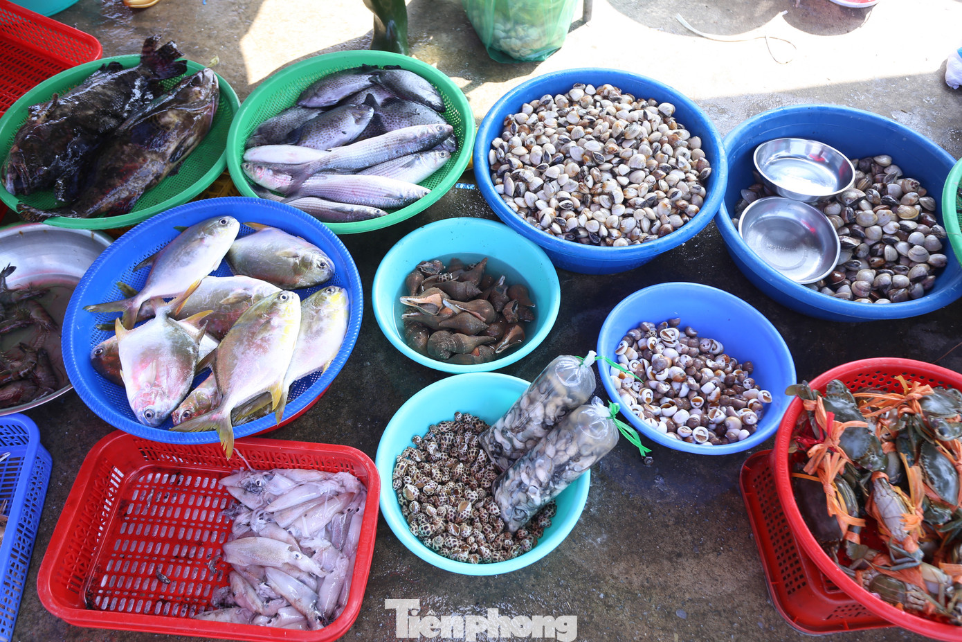 Trên bờ, các ngư dân và tiểu thương bày bán đủ loại hải sản tươi ngon vừa đánh bắt được. Trên bờ, các ngư dân và tiểu thương bày bán đủ loại hải sản tươi ngon vừa đánh bắt được.